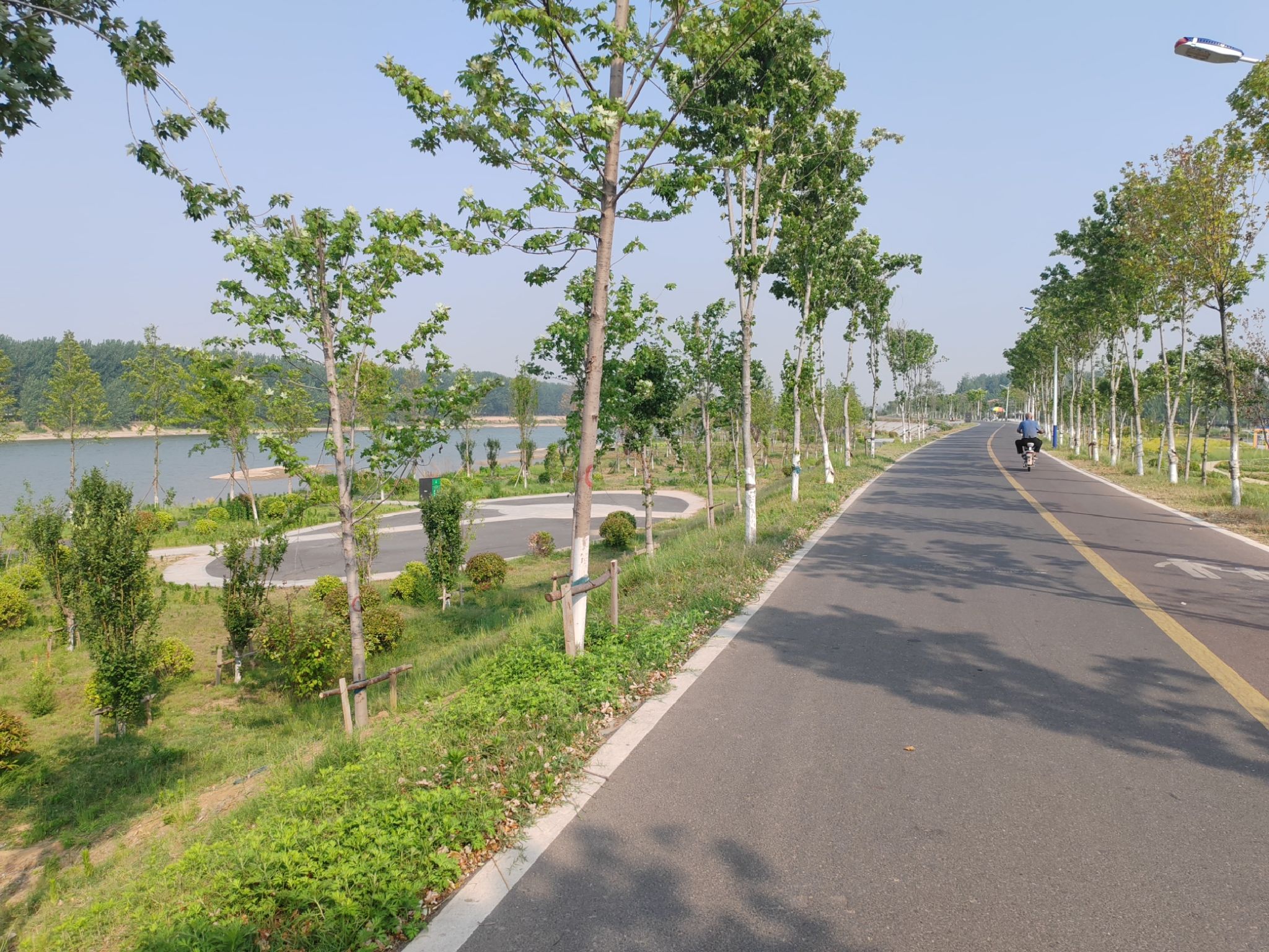 沈丘红闸湿地公园旅行图片 1