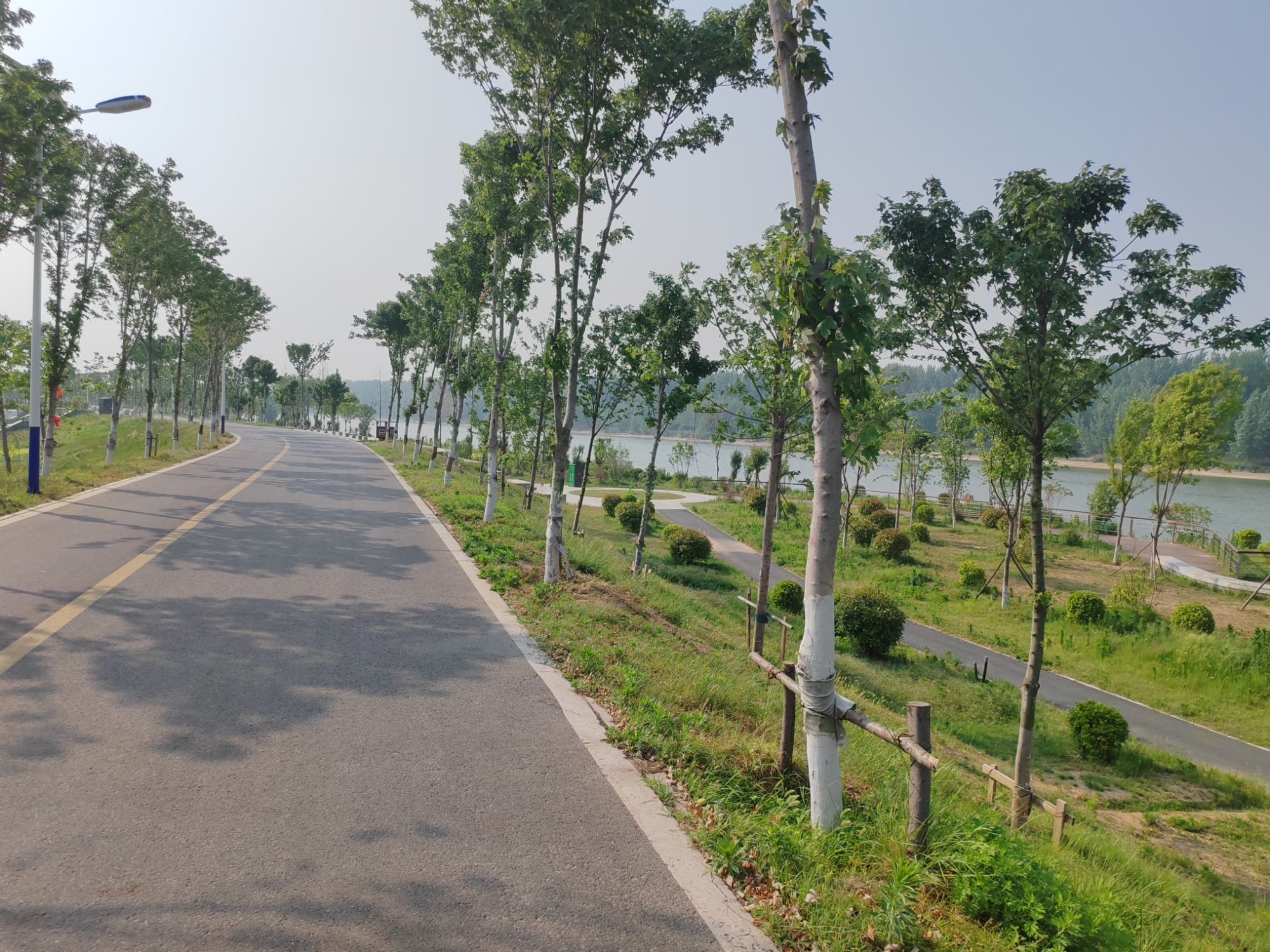 沈丘红闸湿地公园旅行图片 2