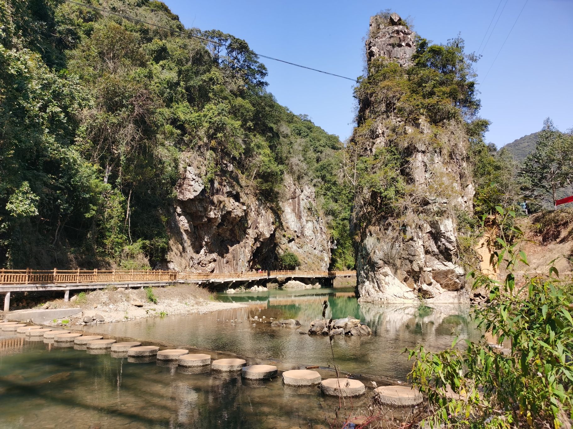 亚历坑森林公园旅行图片 1