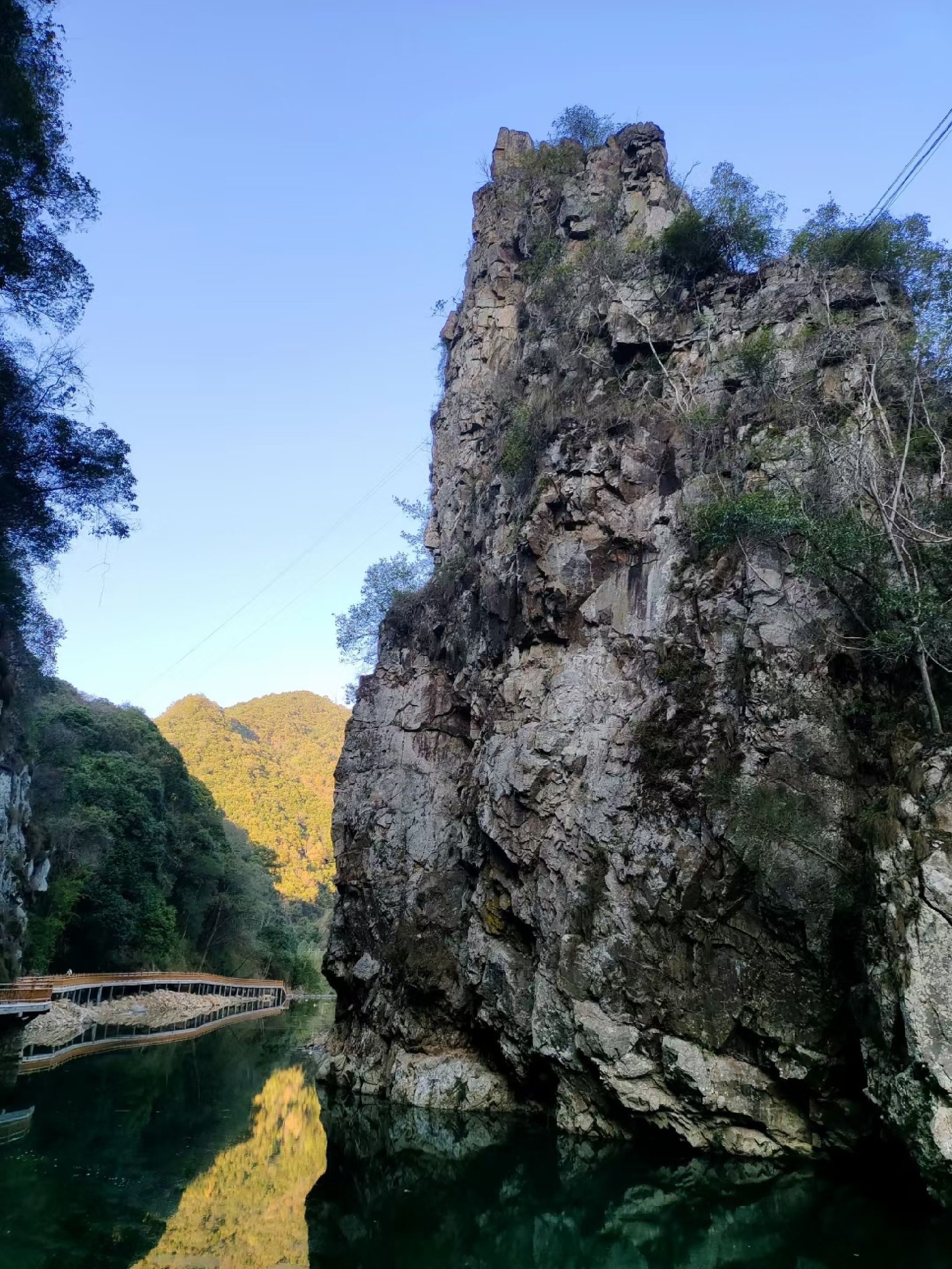 亚历坑森林公园旅行图片 2