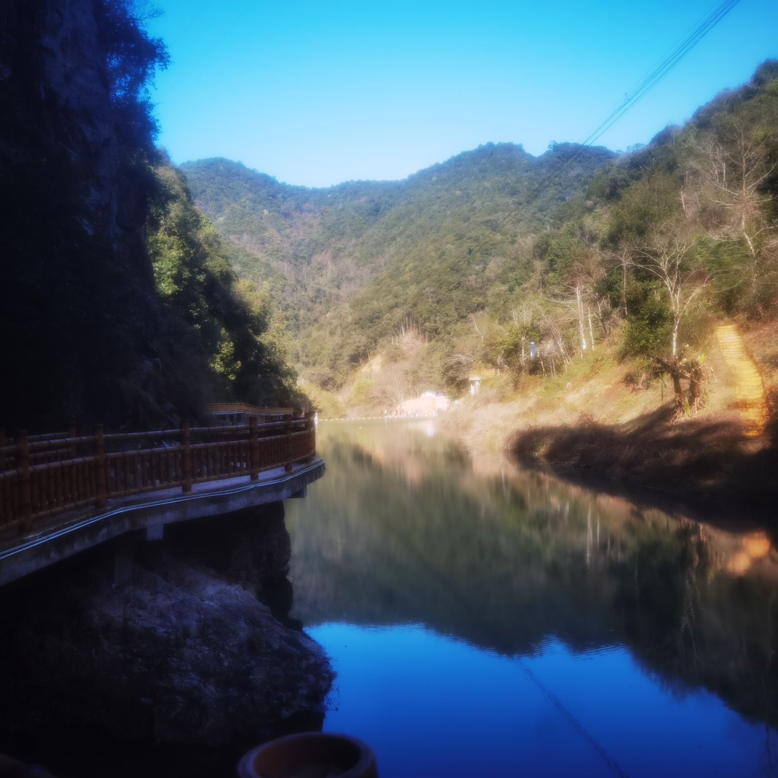 亚历坑森林公园旅行图片 3