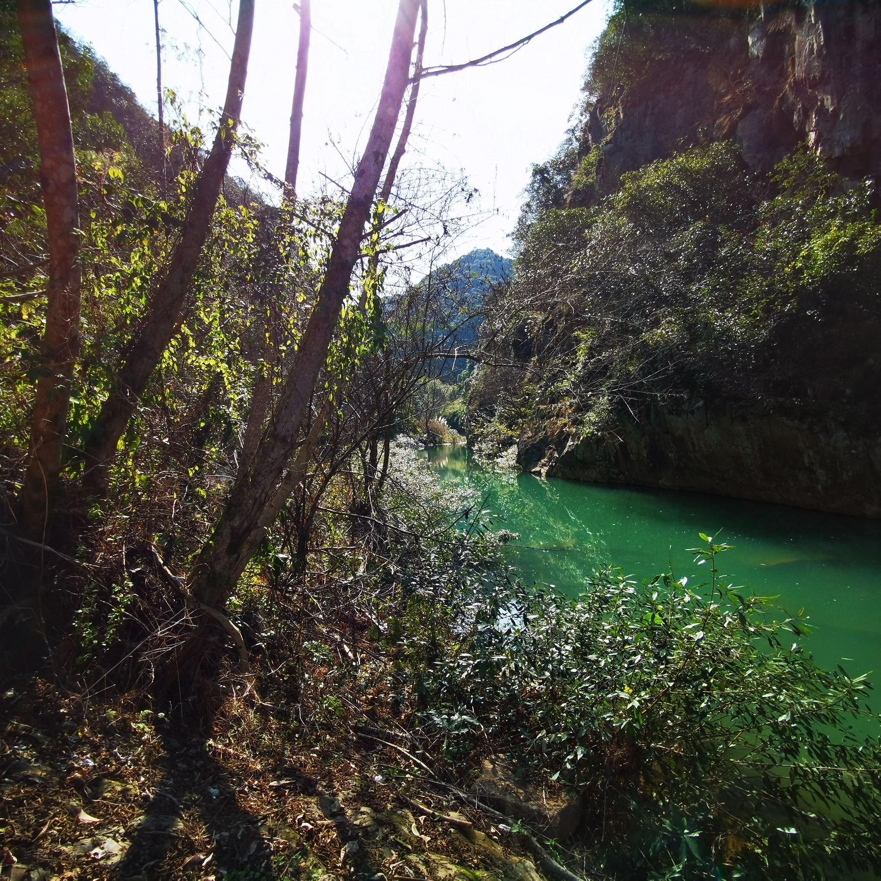亚历坑森林公园旅行图片 2