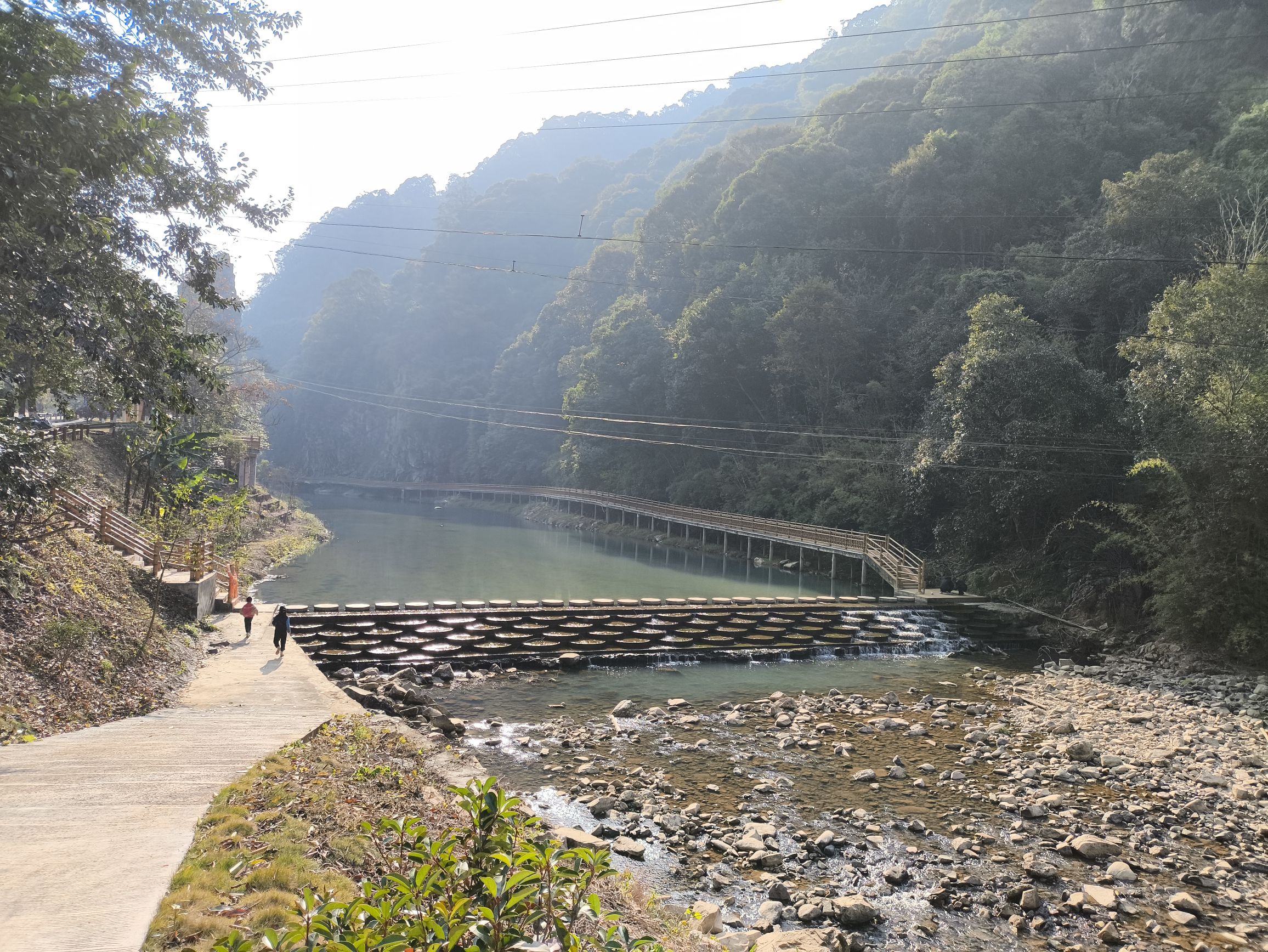 亚历坑森林公园旅行图片 2