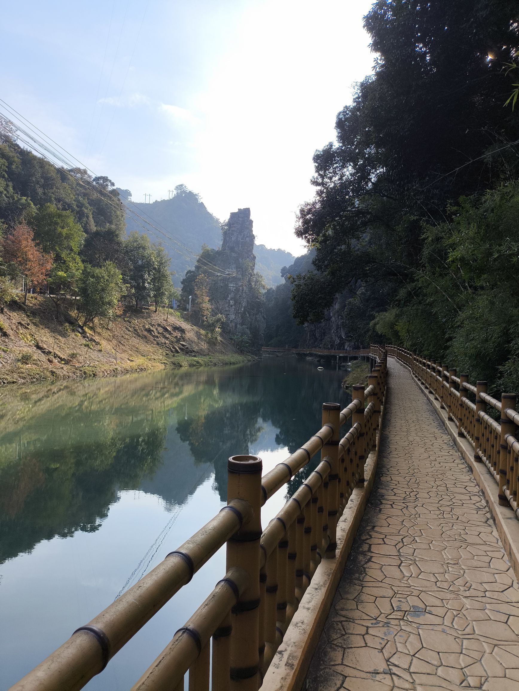 亚历坑森林公园旅行图片 1
