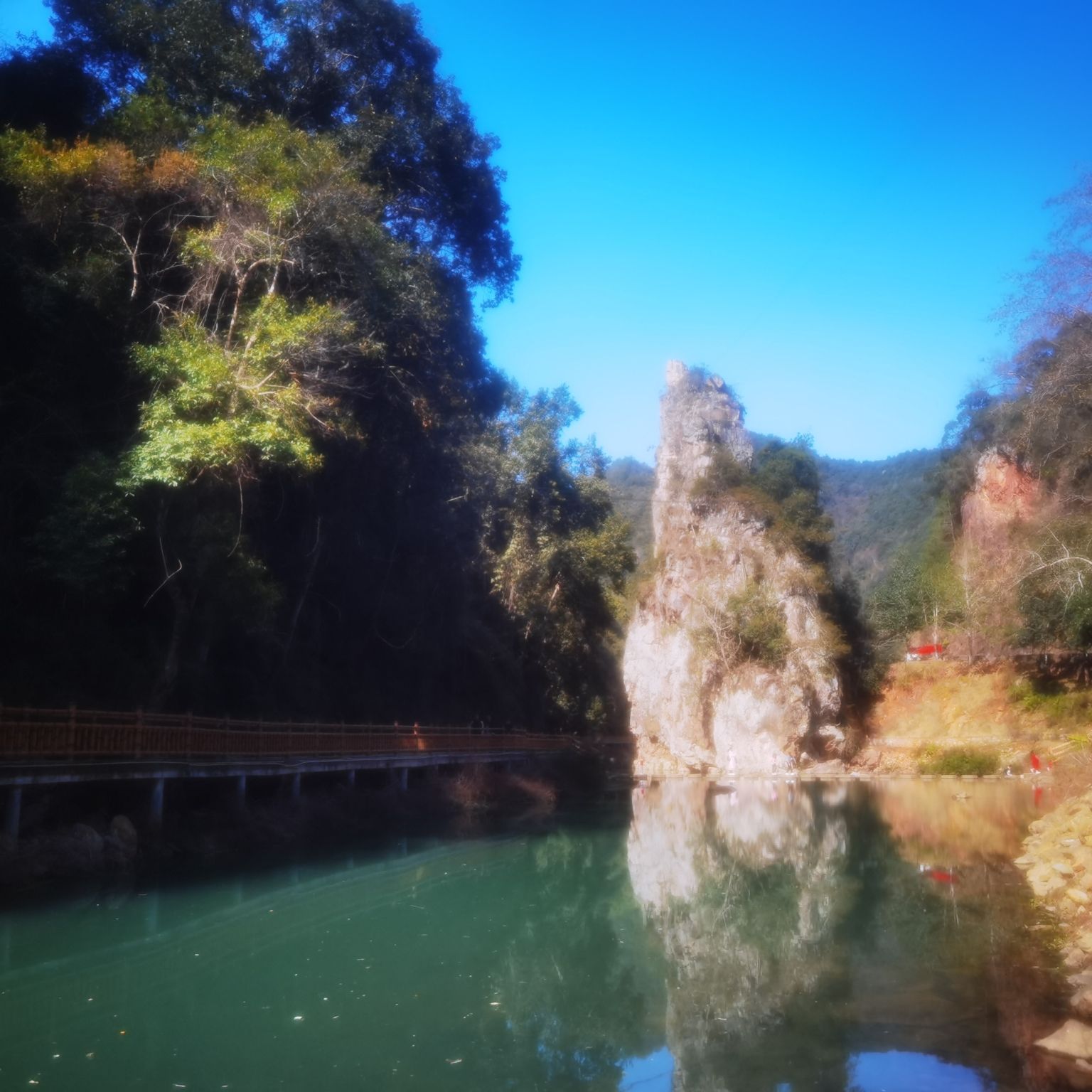 亚历坑森林公园旅行图片 1