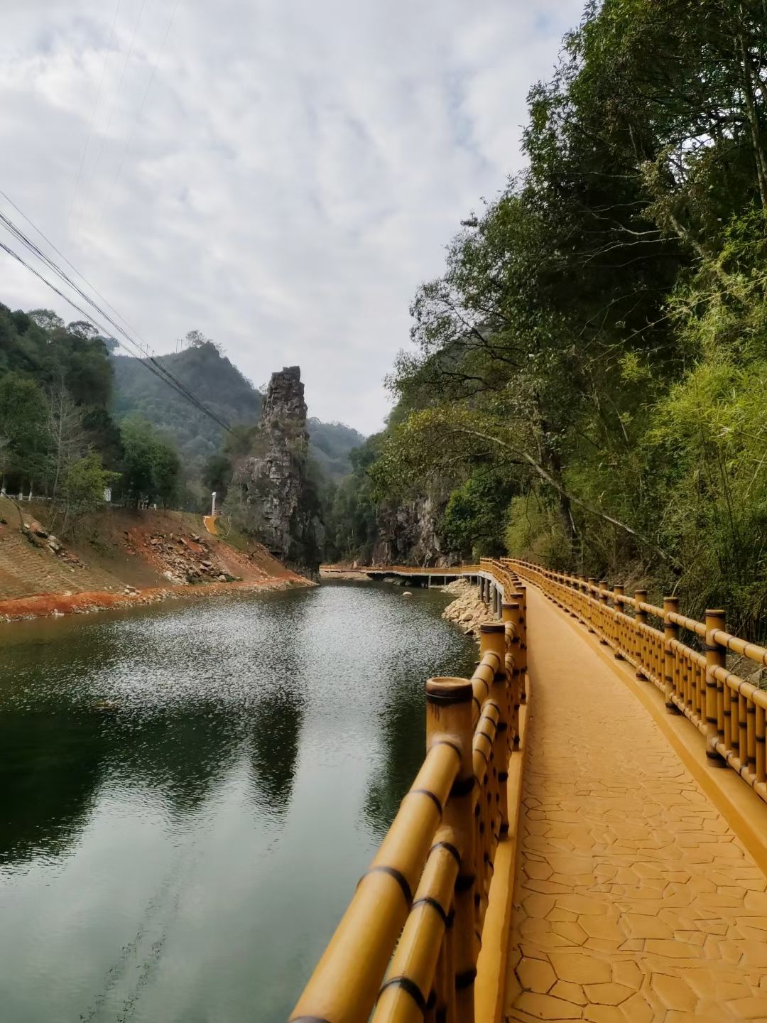 亚历坑森林公园旅行图片 1