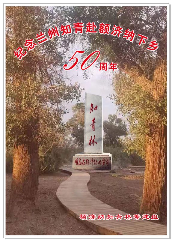 额济纳知青林旅行图片 3