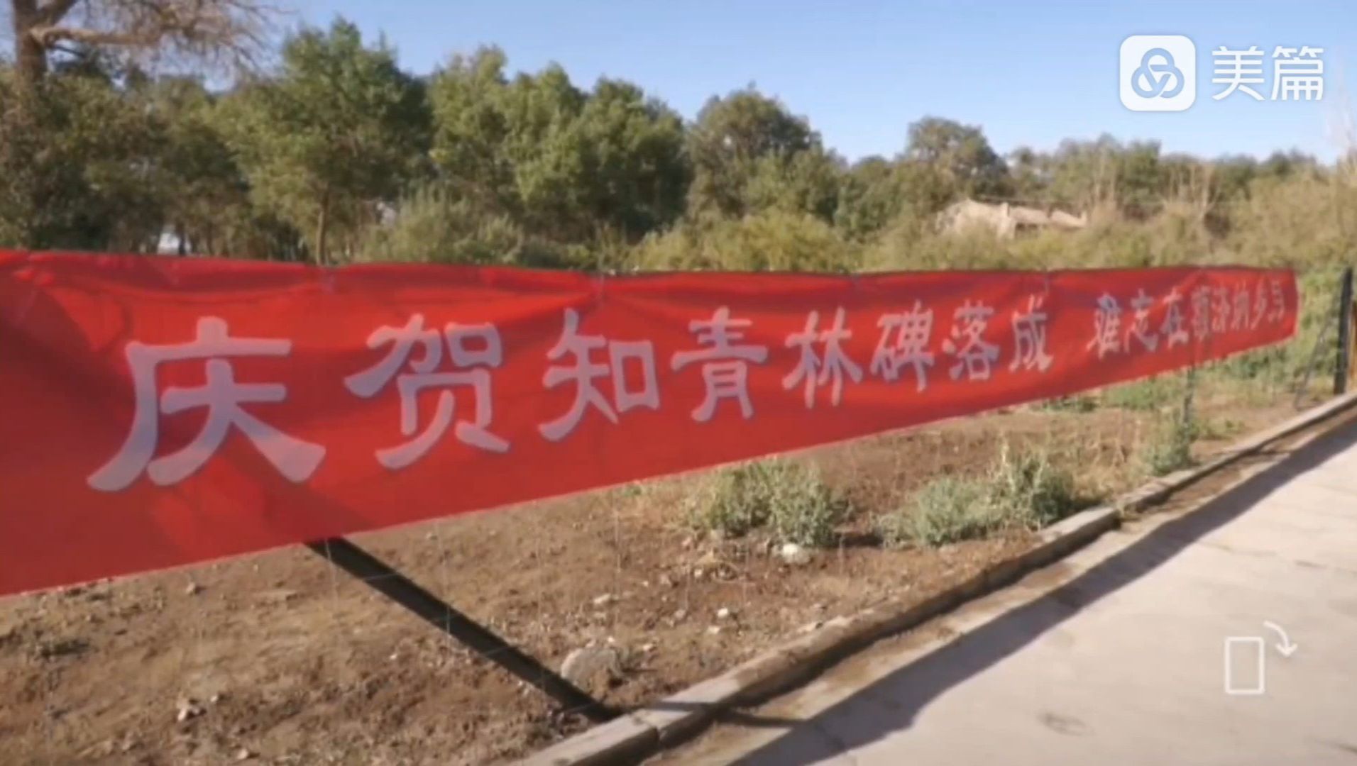 额济纳知青林旅行图片 2