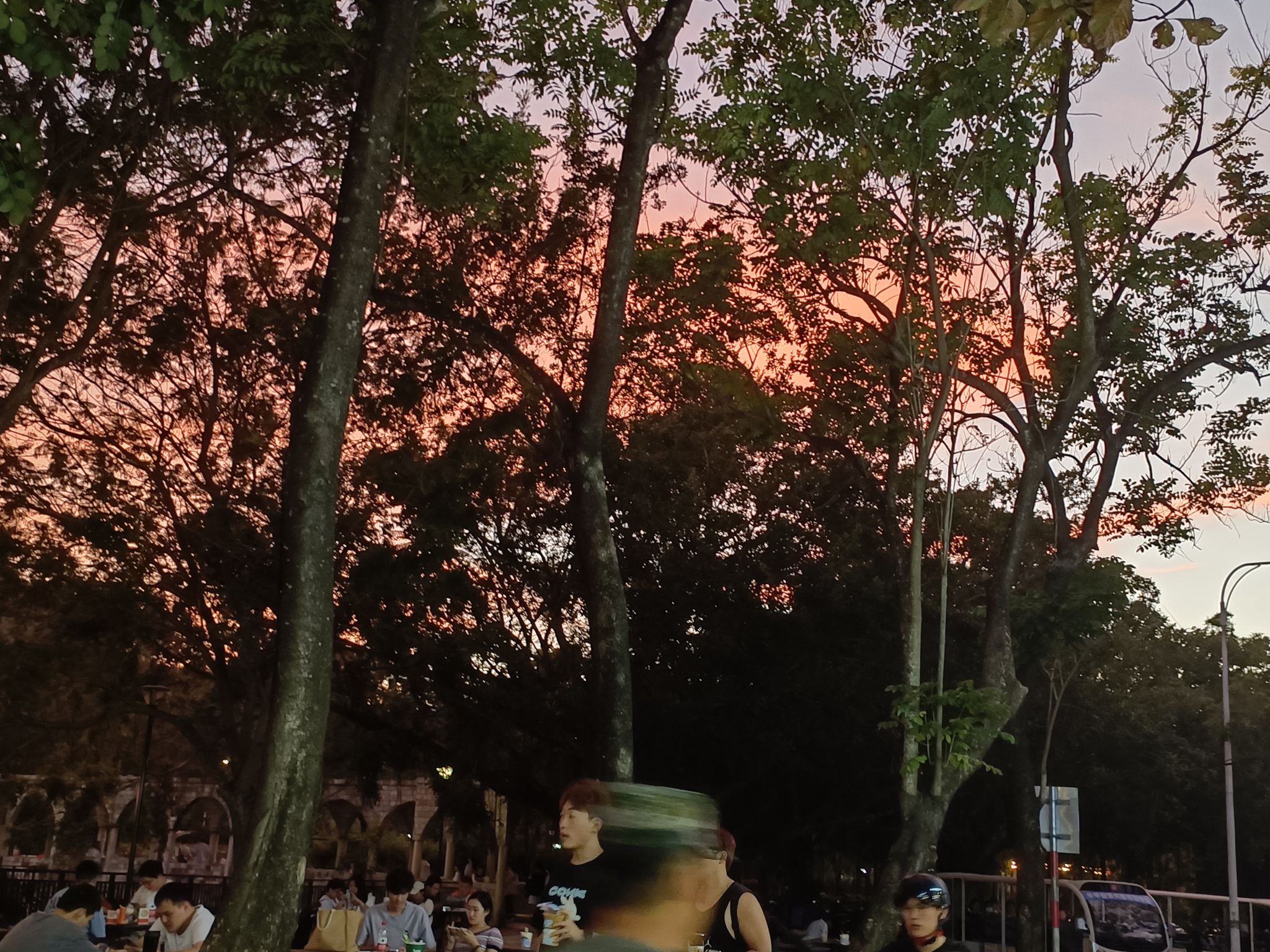 三亚学院(北校区)椰林广场