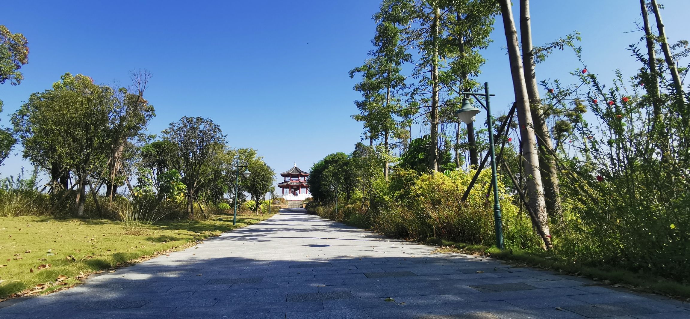 揽胜亭旅行图片 1