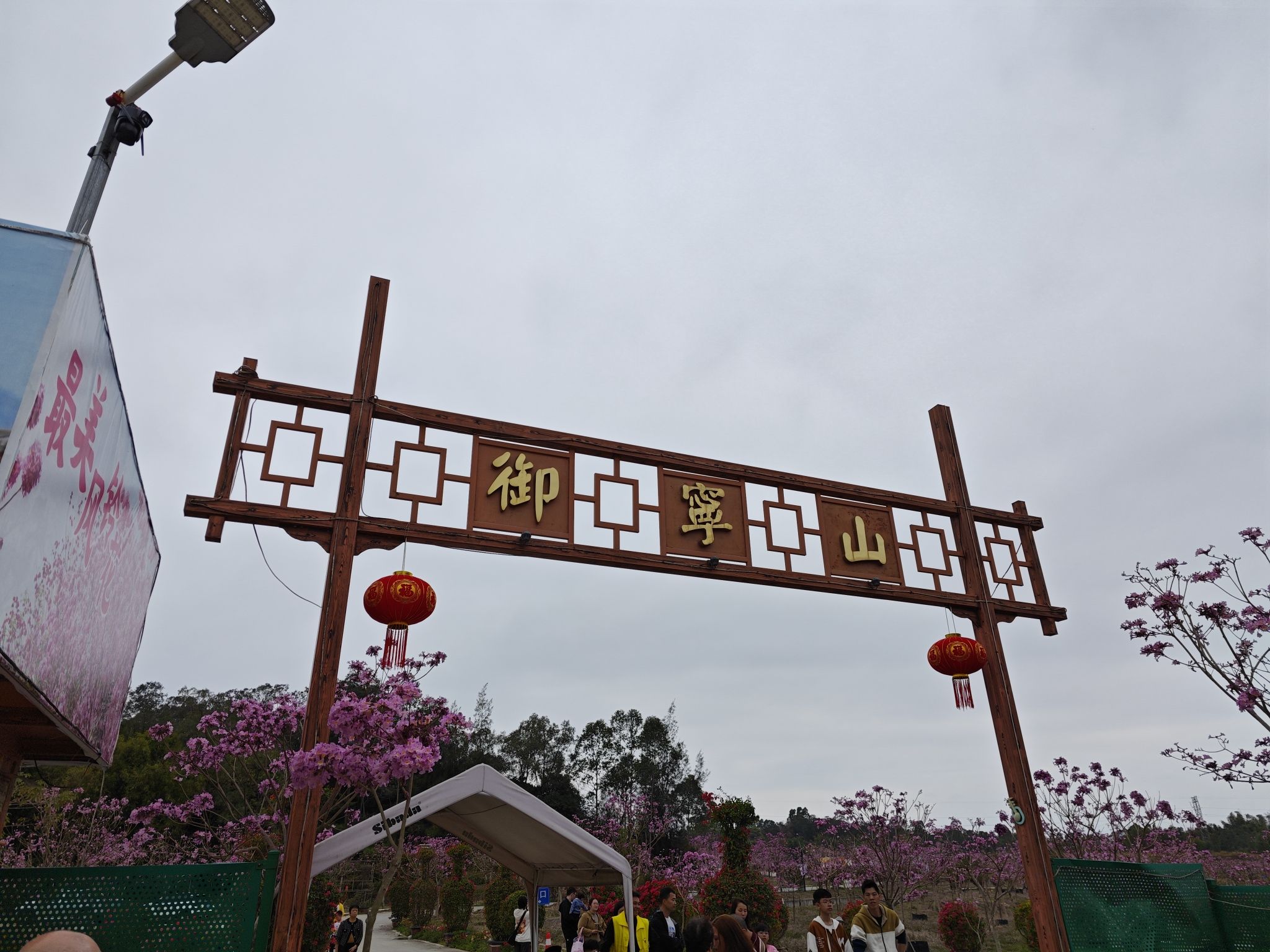 御宁山花海旅行图片 1
