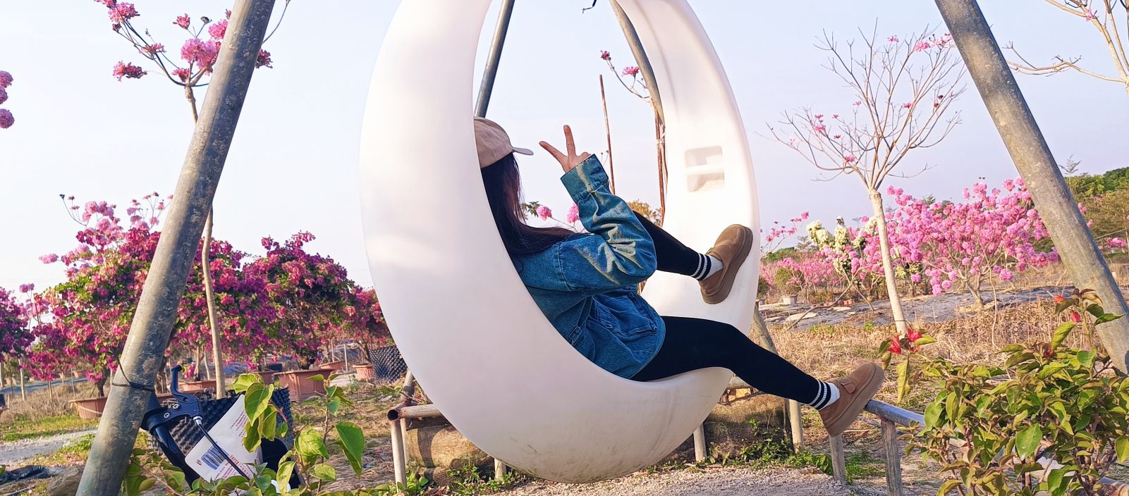 御宁山花海旅行图片 1