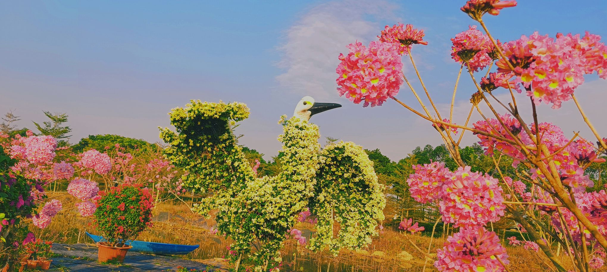 御宁山花海旅行图片 2