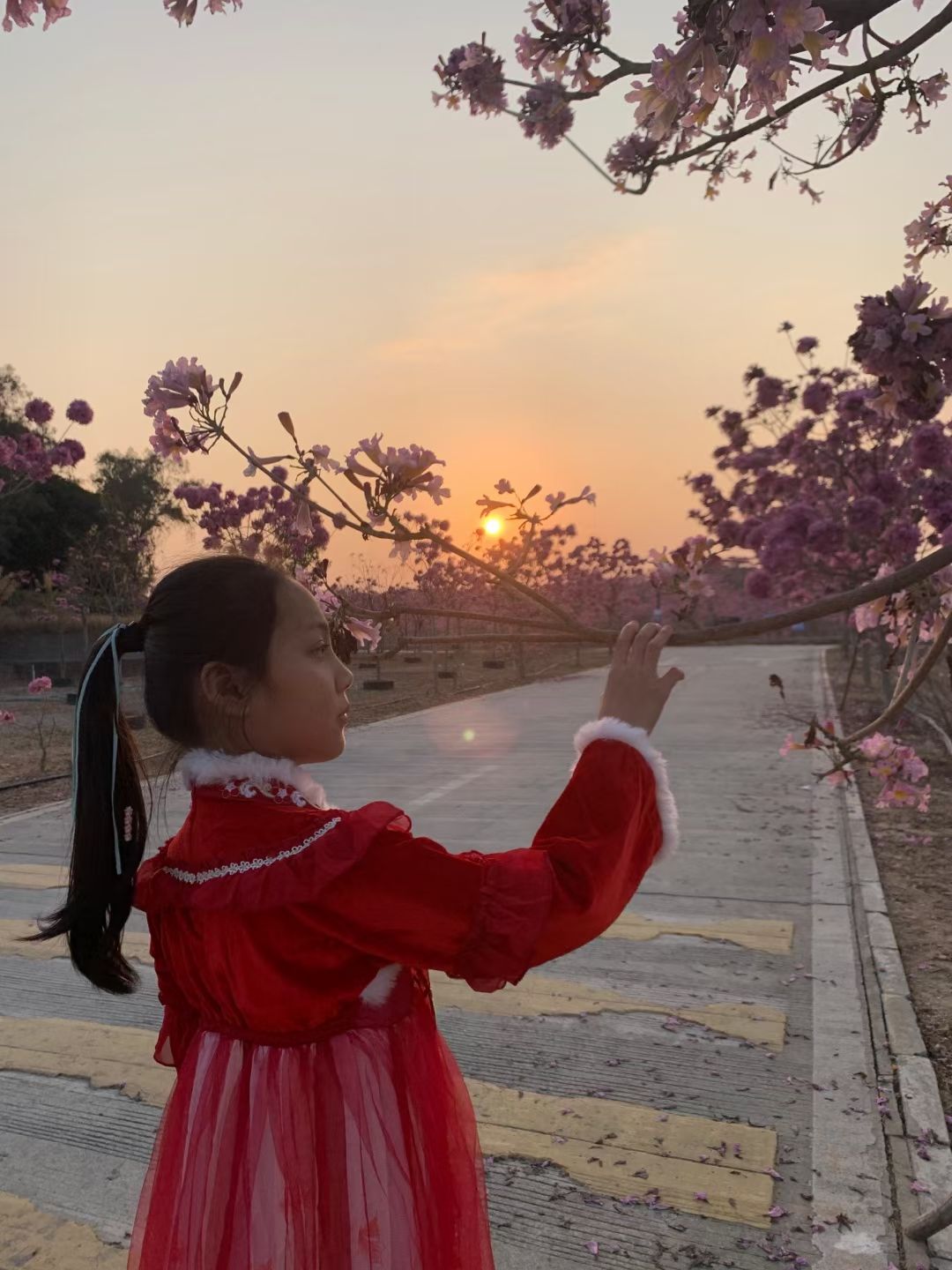 御宁山花海旅行图片 1