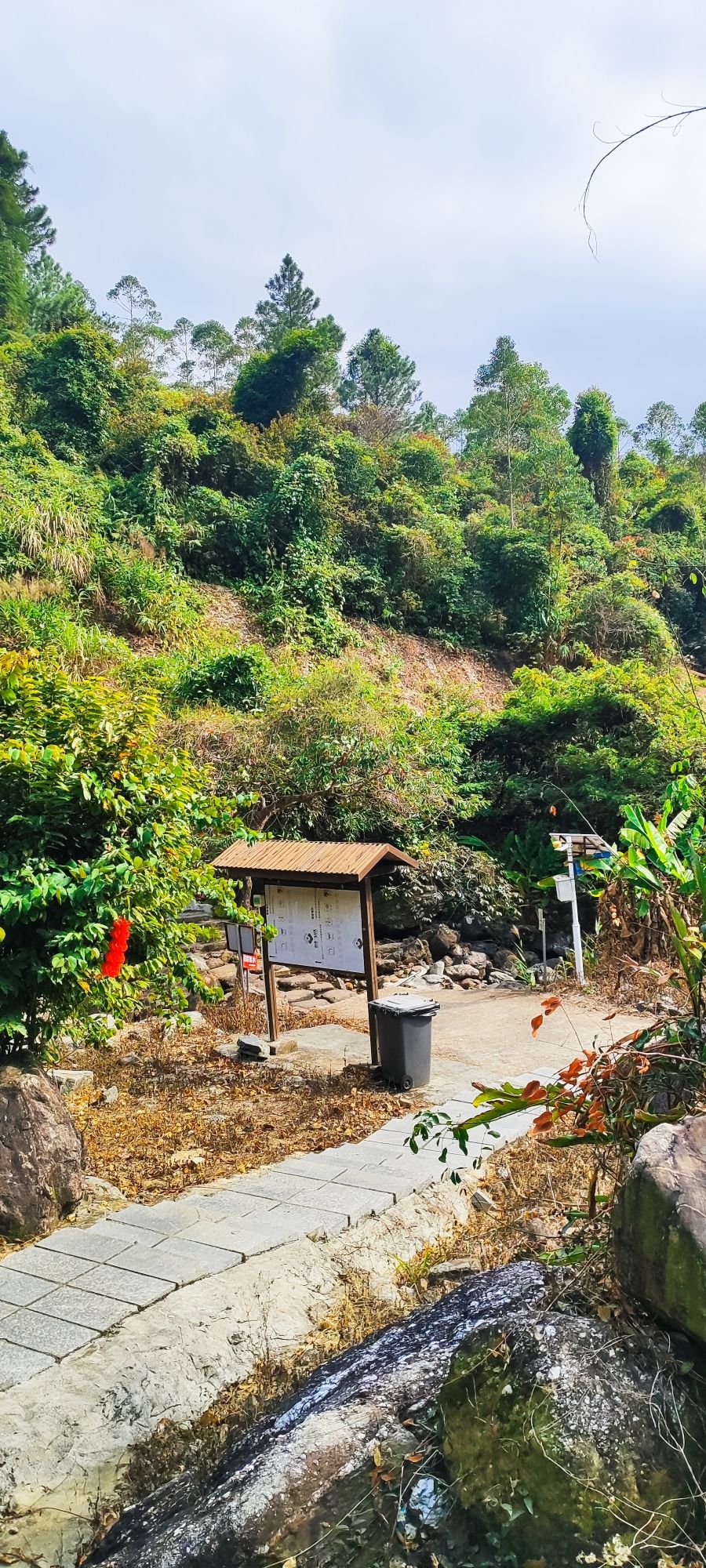 御宁山花海旅行图片 2