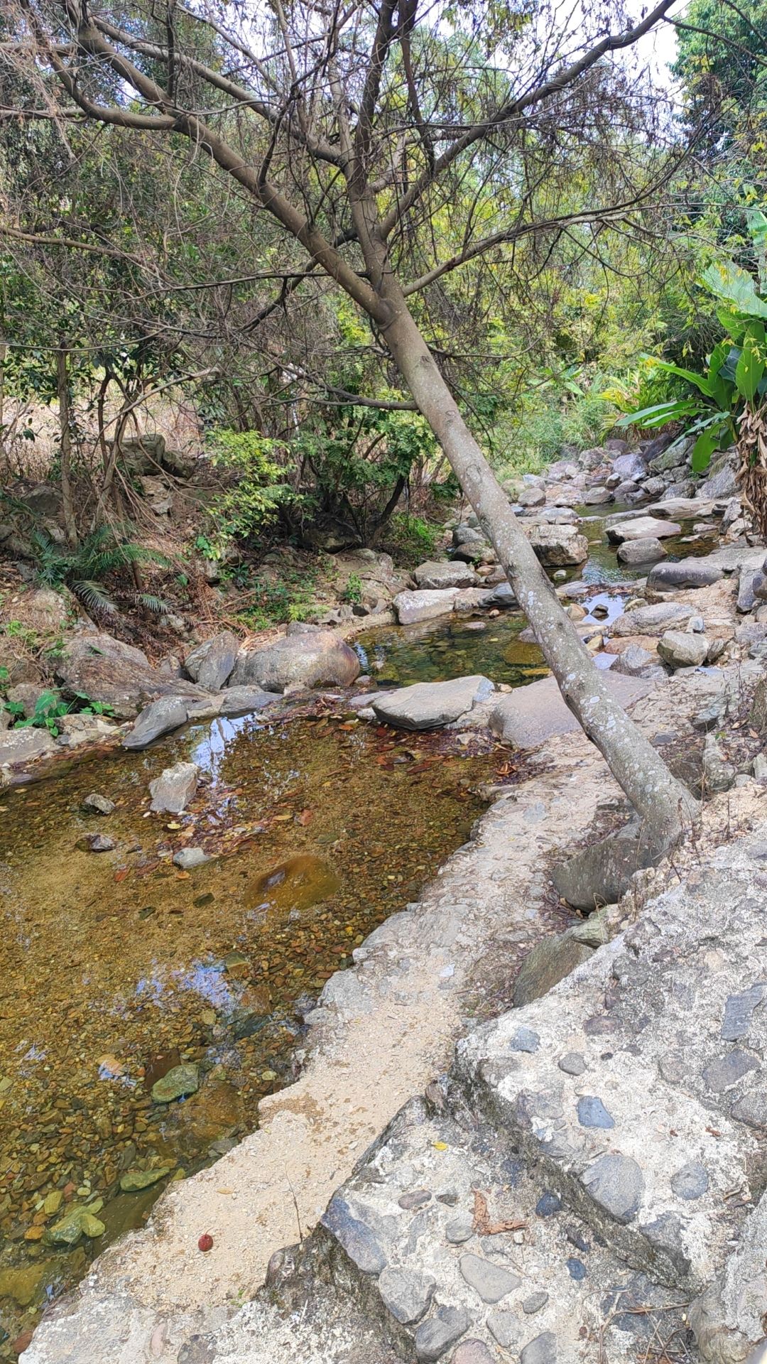 御宁山花海旅行图片 3