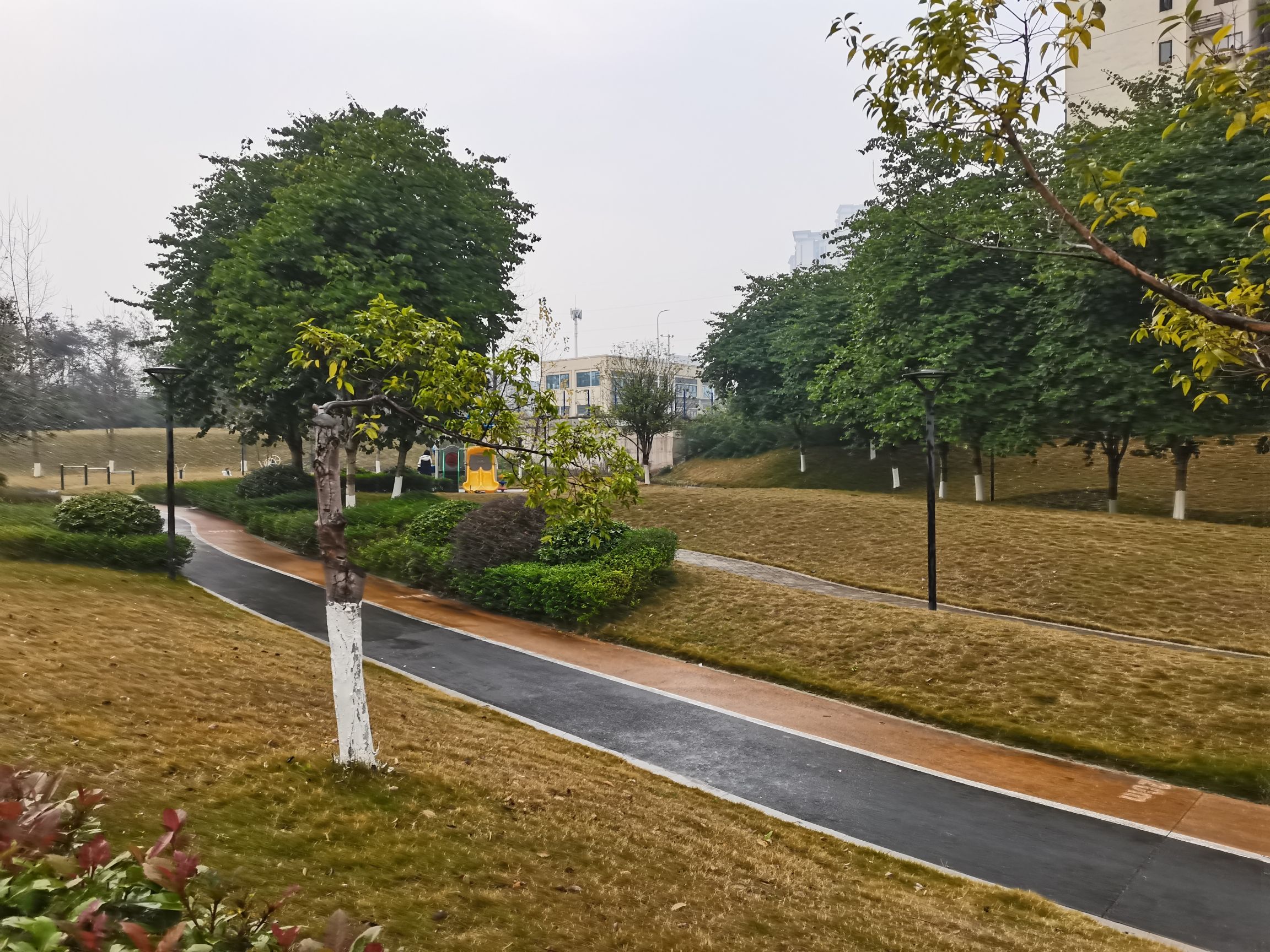 何家湾体育文化公园旅行图片 1