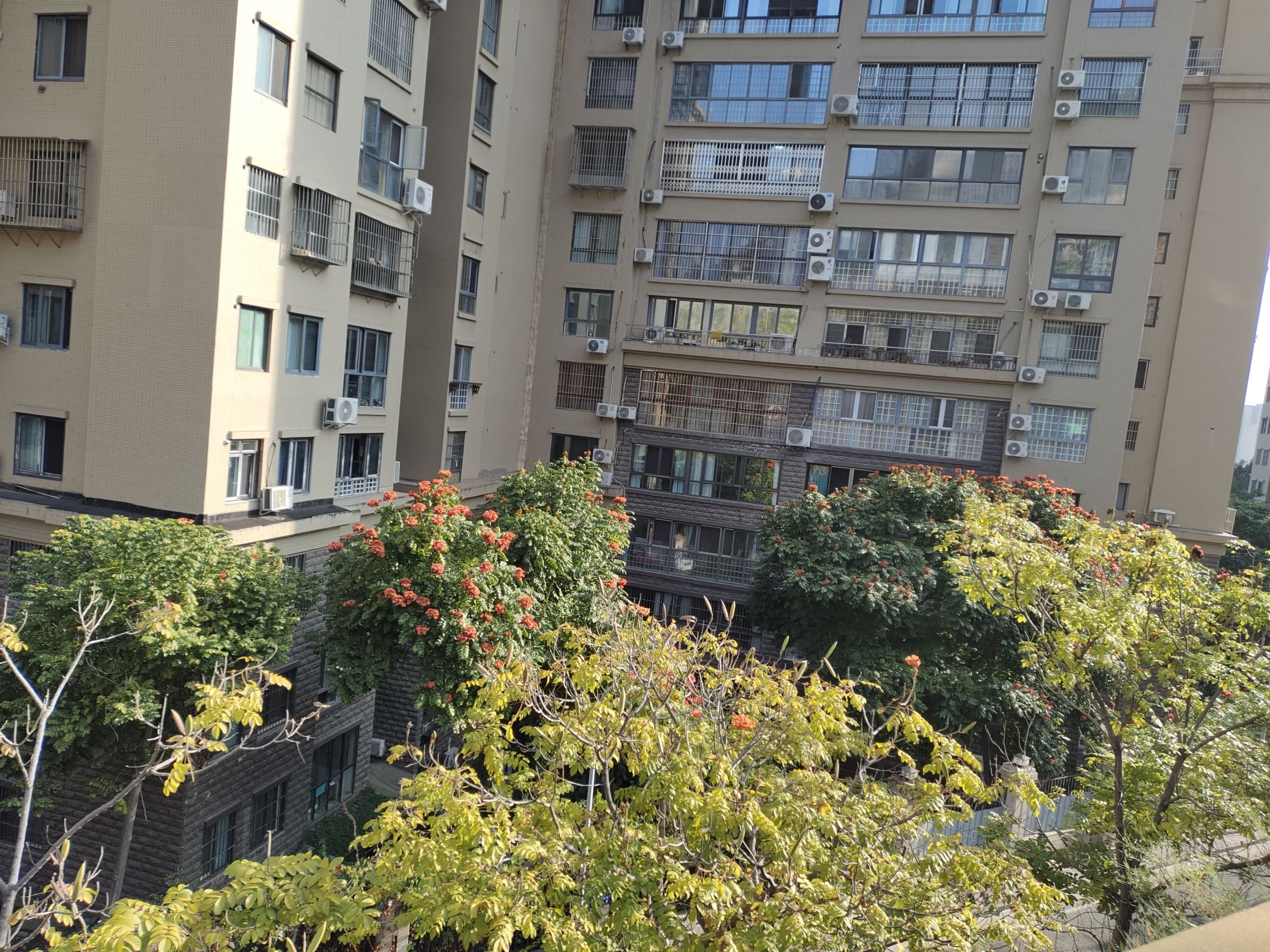 东华山山地体育公园旅行图片 2
