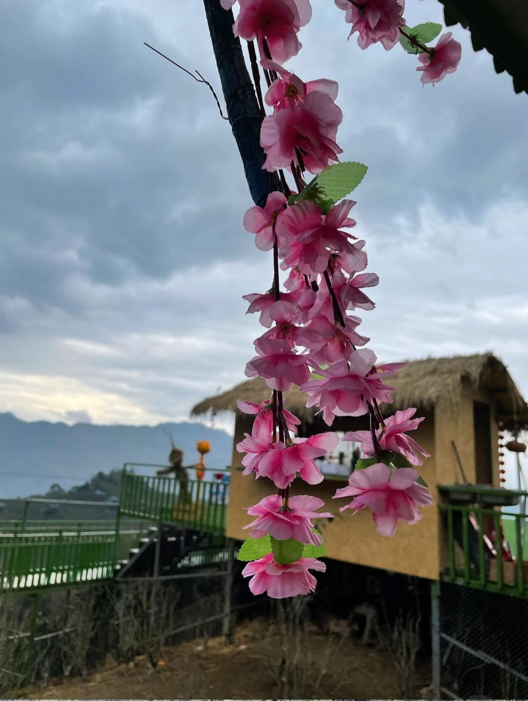 桃花岛旅行图片 1
