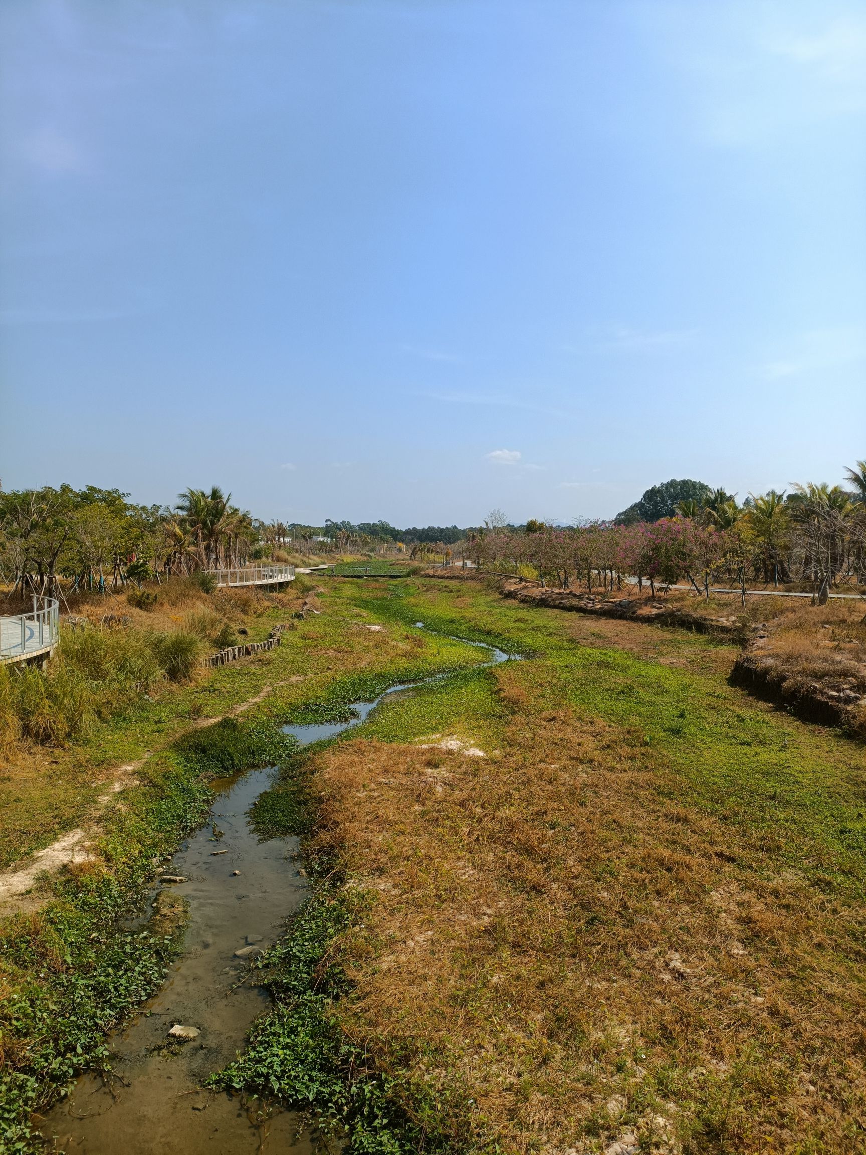 东方市竹金沟公园