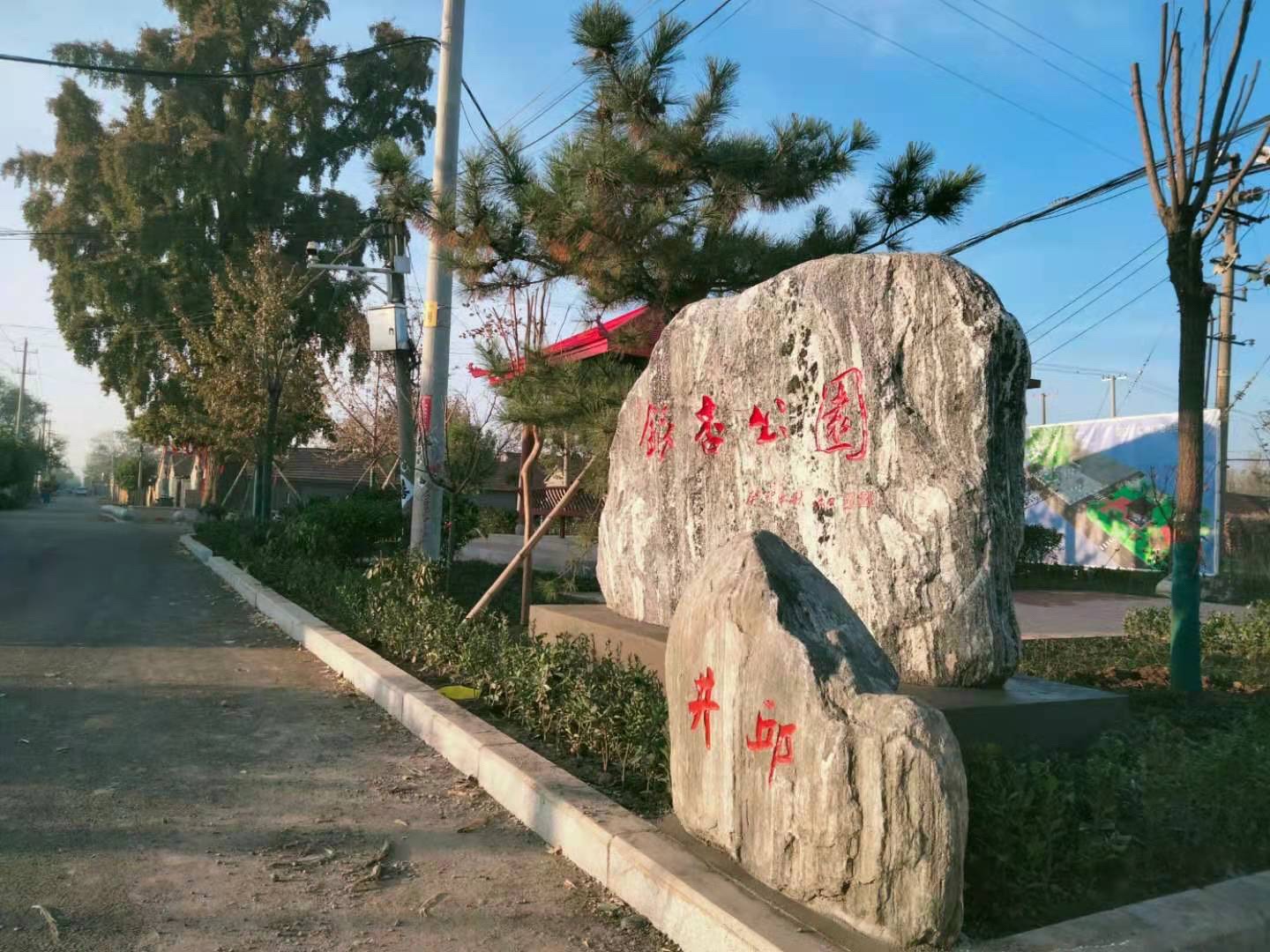 井邱银杏公园旅行图片 2