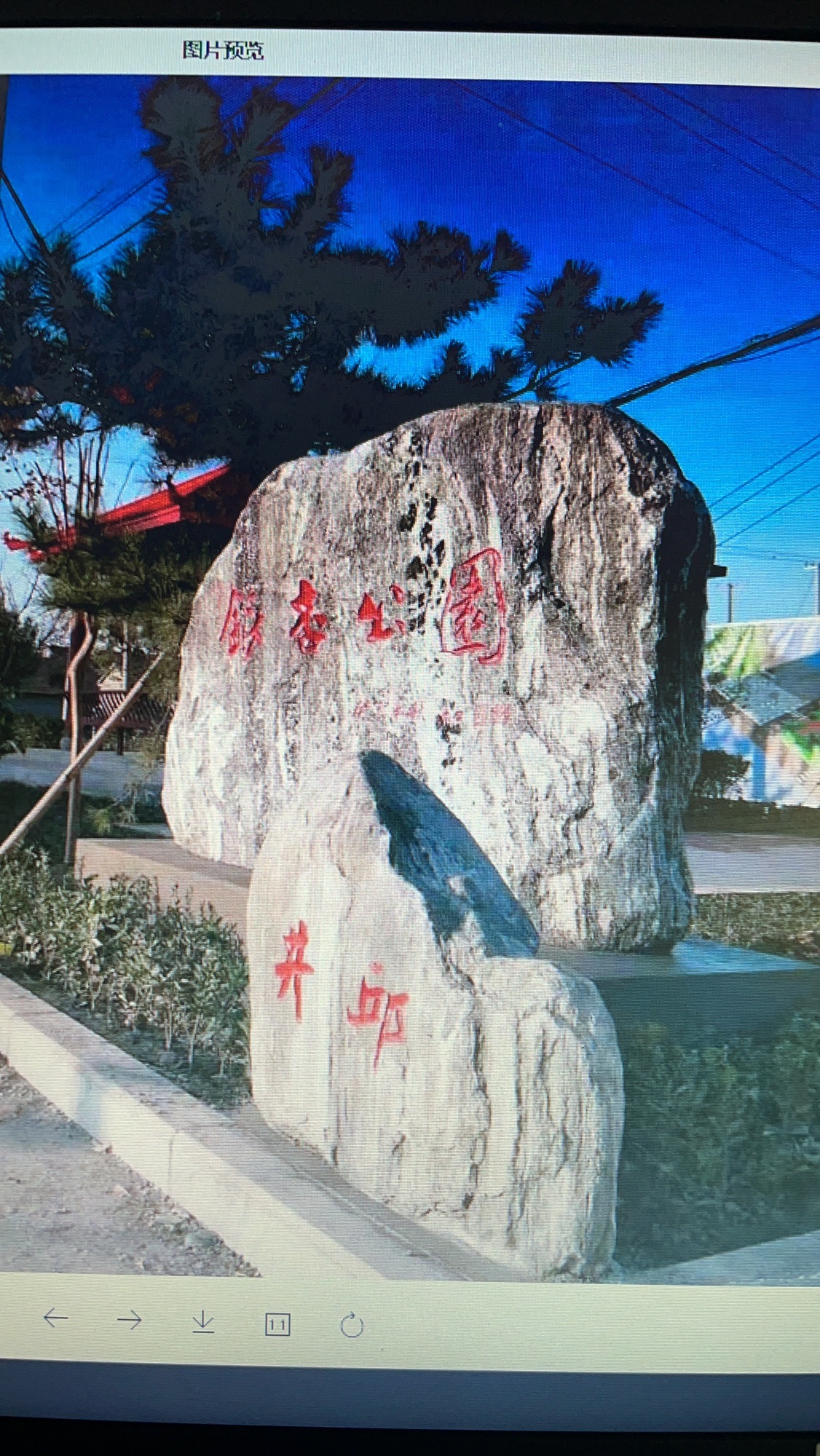井邱银杏公园旅行图片 1