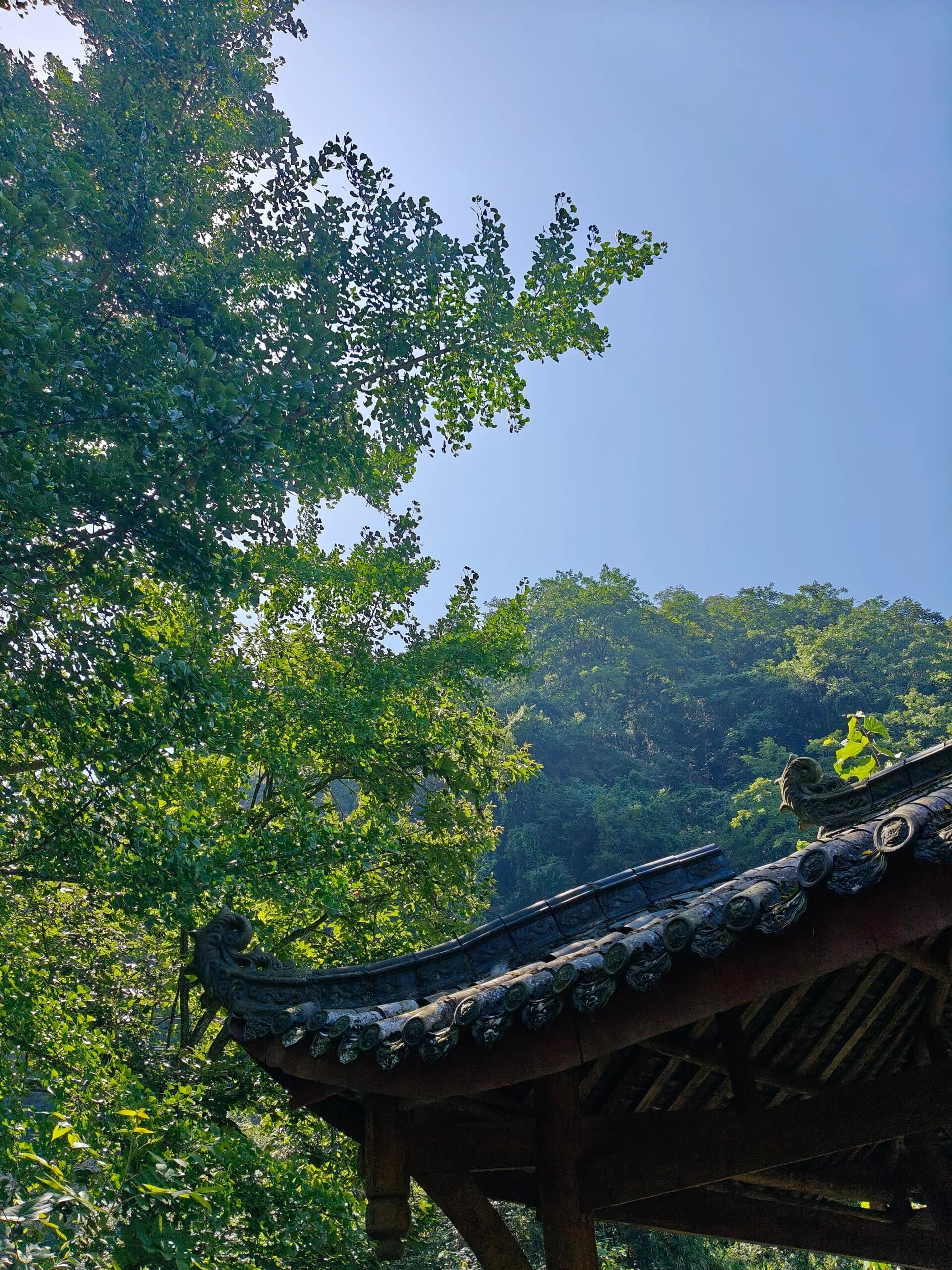 狮子山景区旅行图片 3