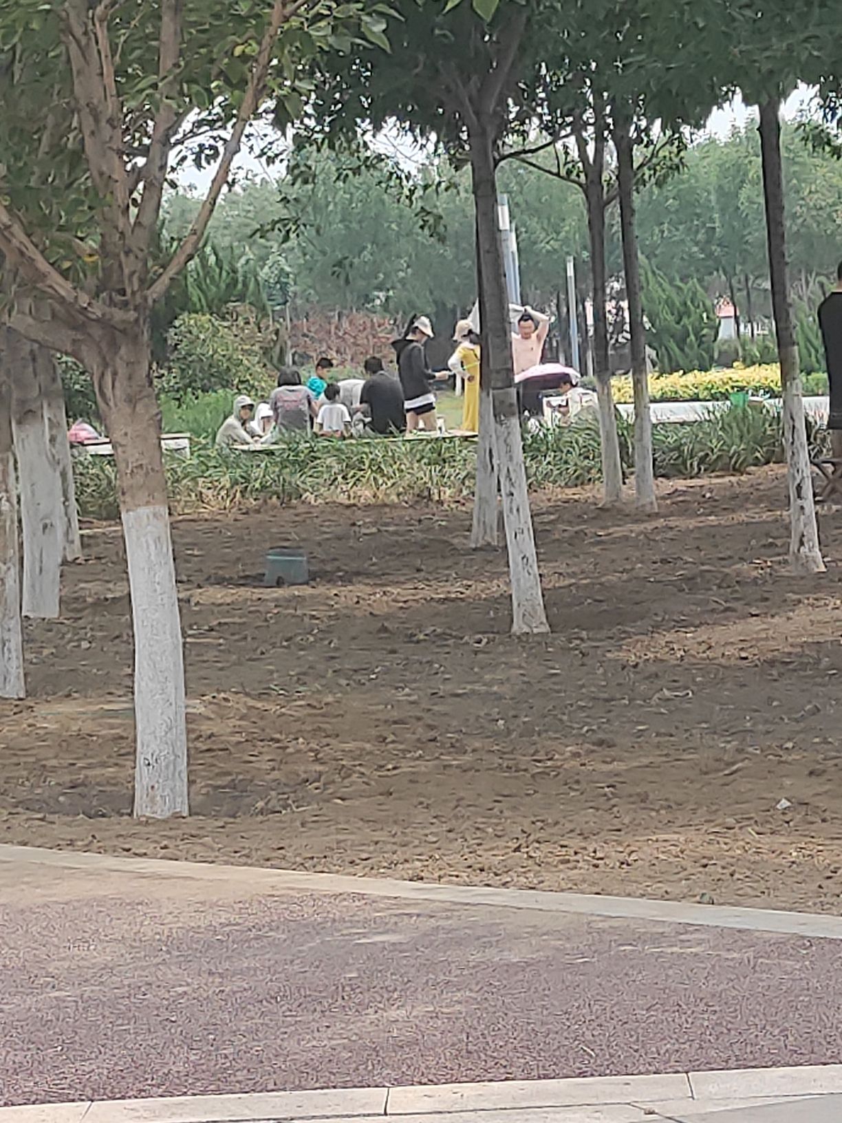 活力广场旅行图片 2