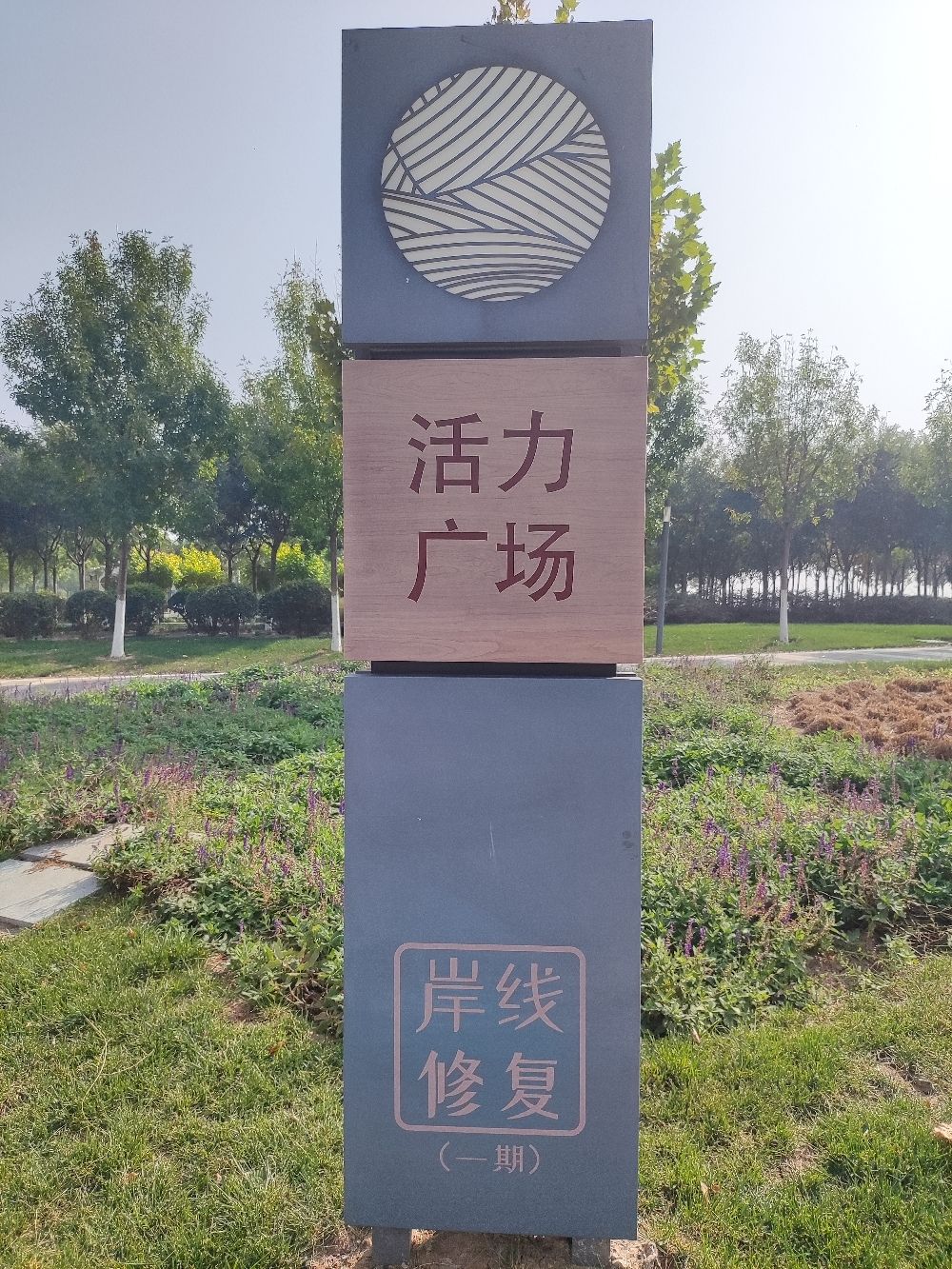 活力广场旅行图片 1