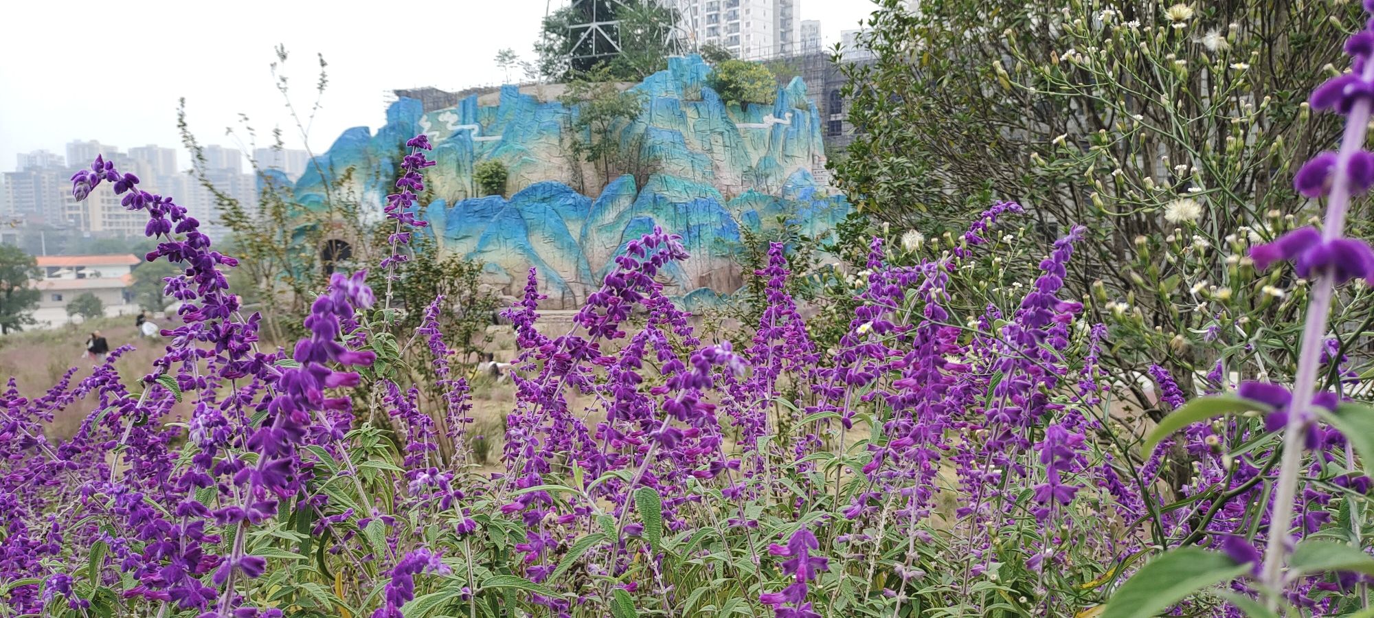 龙门公园旅行图片 3