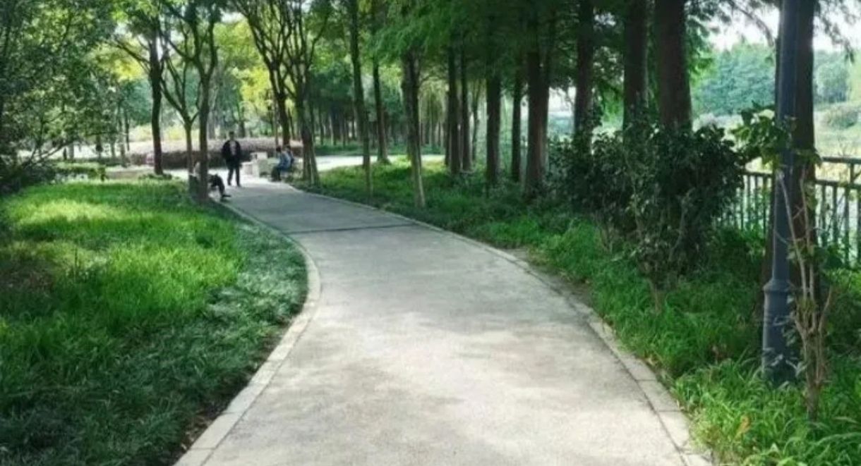 果园河公园旅行图片 3