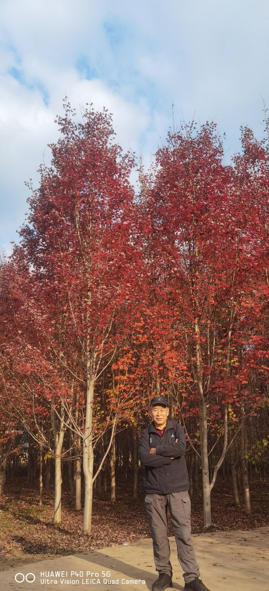 阆中红叶岭旅行图片 2