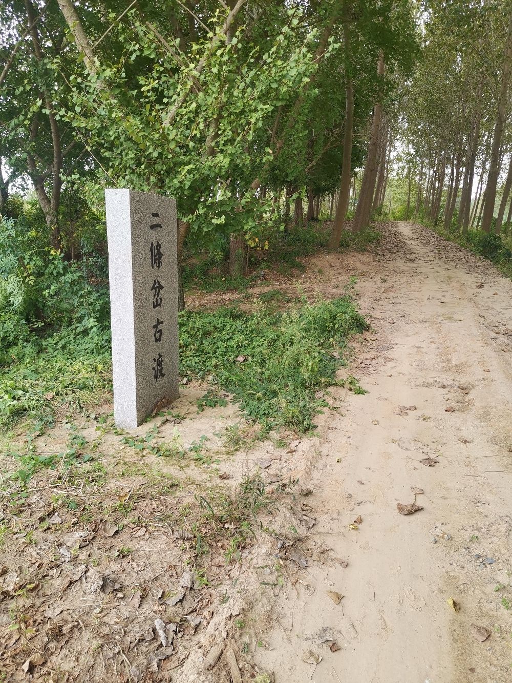 二条岔古渡旅行图片 3