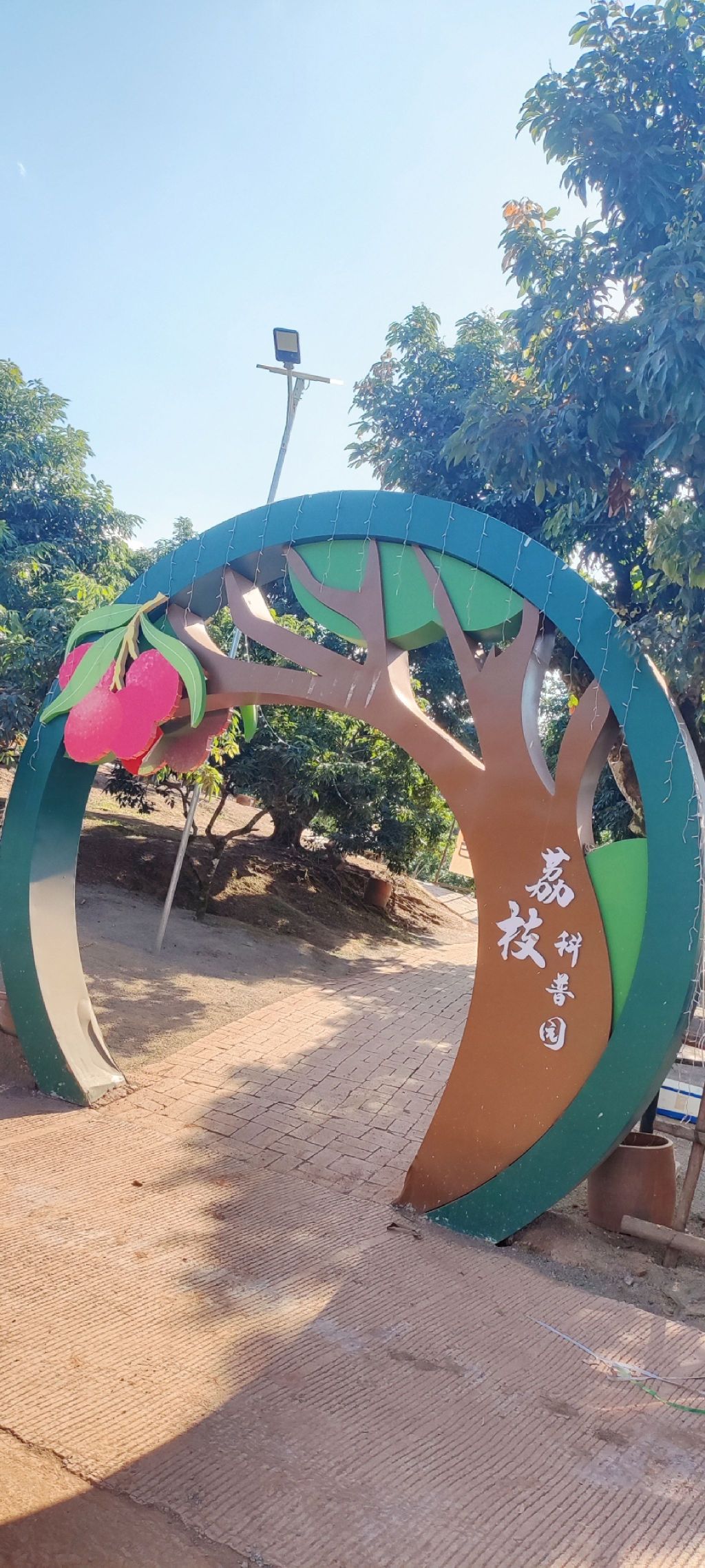 荔枝科普园旅行图片 1
