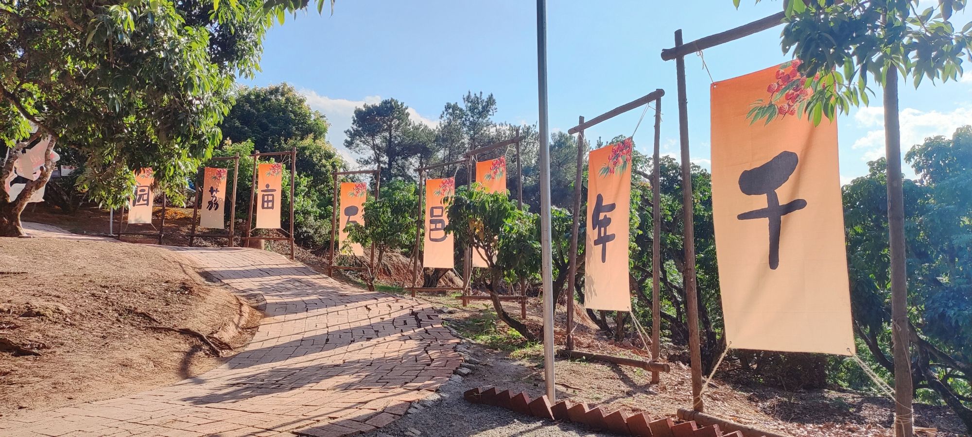 荔枝科普园旅行图片 3