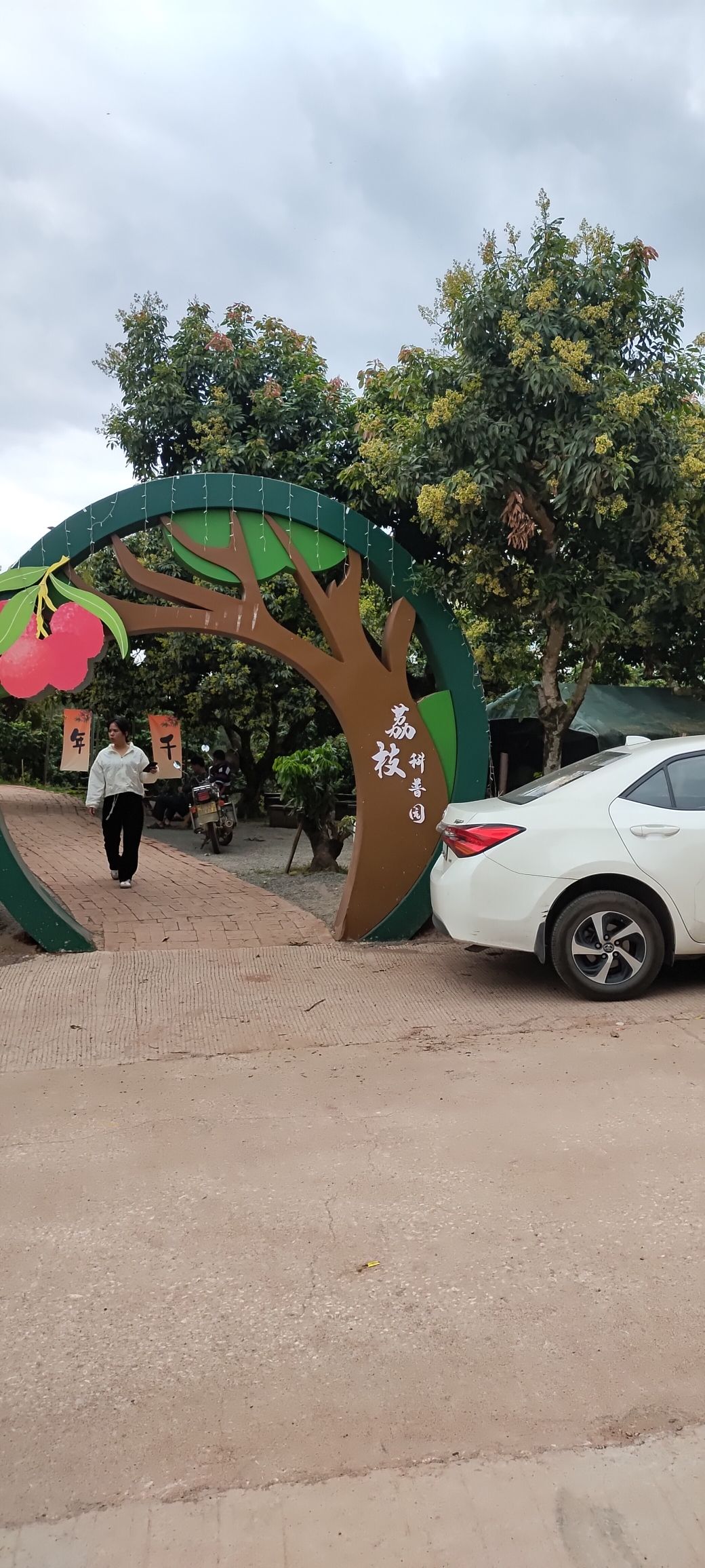 荔枝科普园旅行图片 2