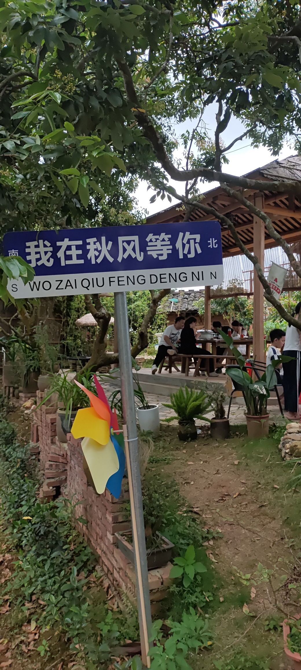 荔枝科普园旅行图片 3