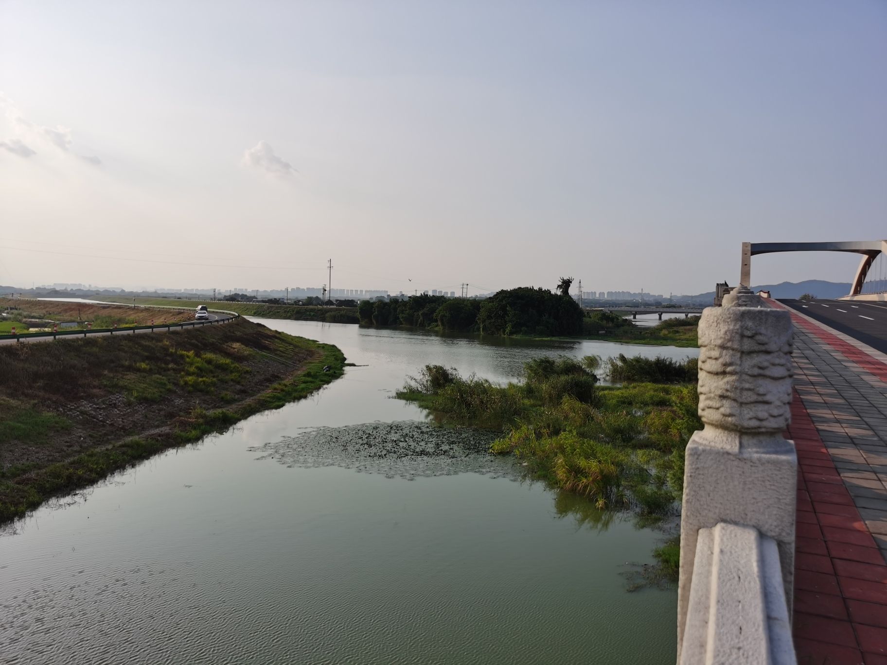 黄陂湖湿地旅行图片 1