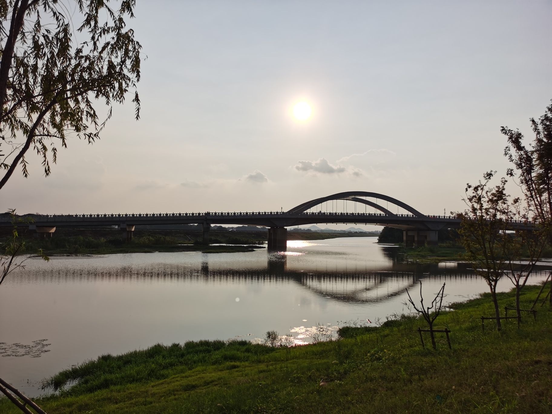 黄陂湖湿地旅行图片 3