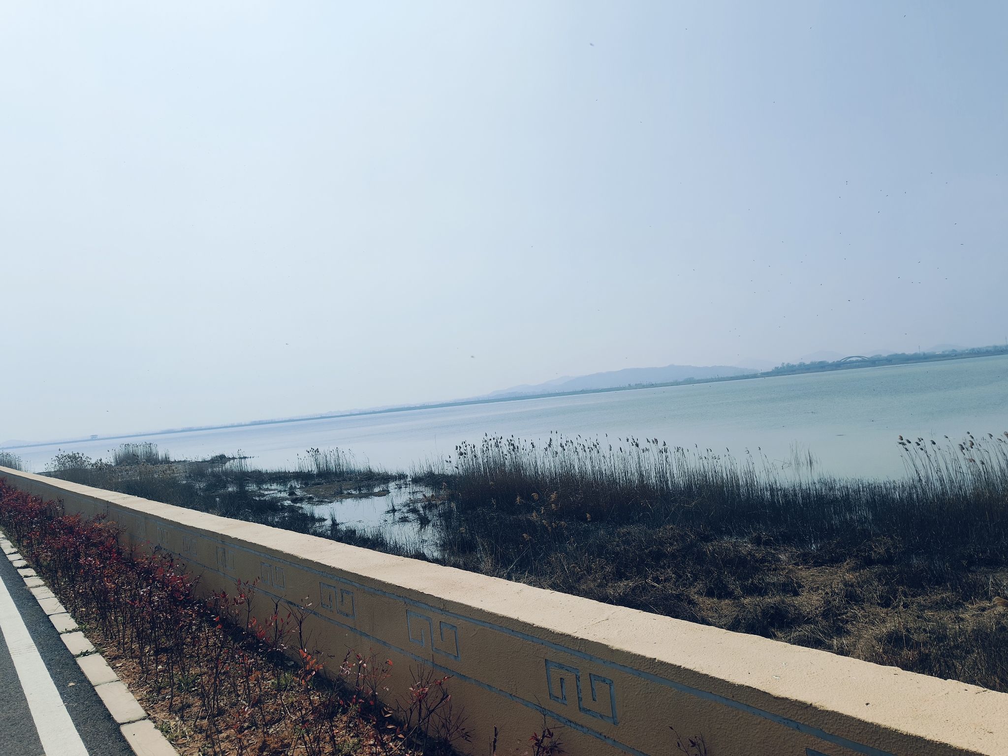 黄陂湖湿地旅行图片 2