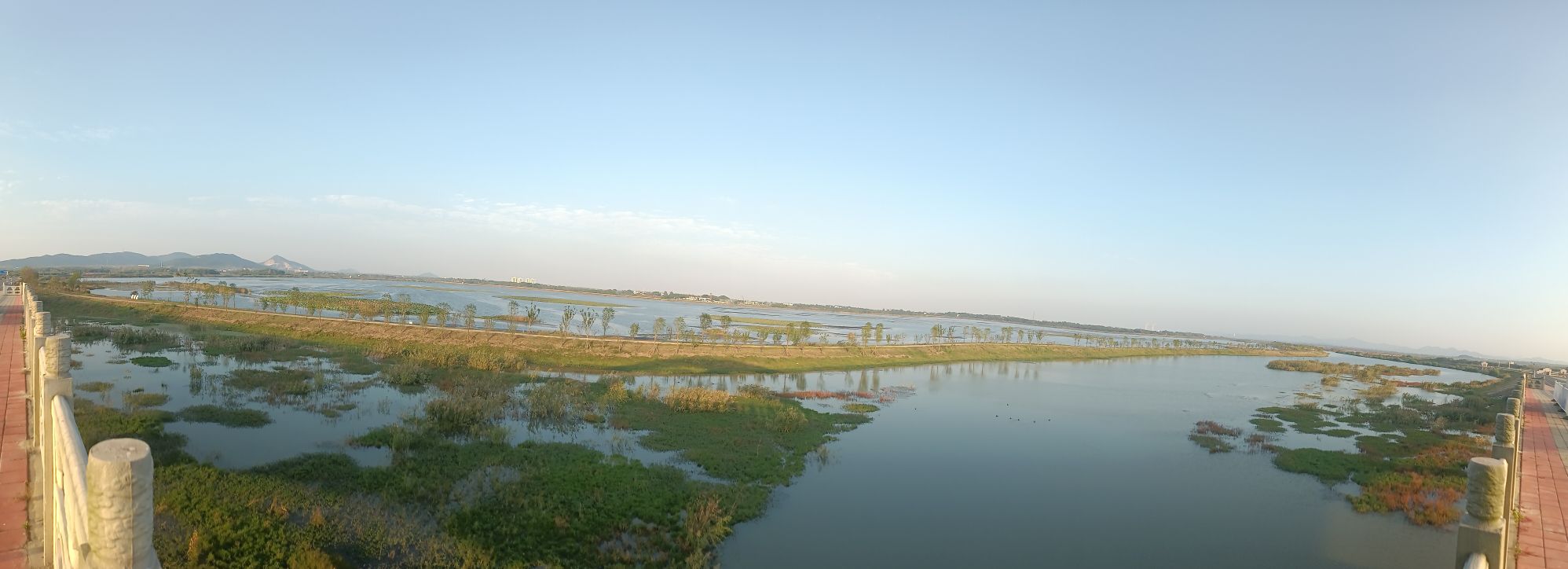 黄陂湖湿地旅行图片 2