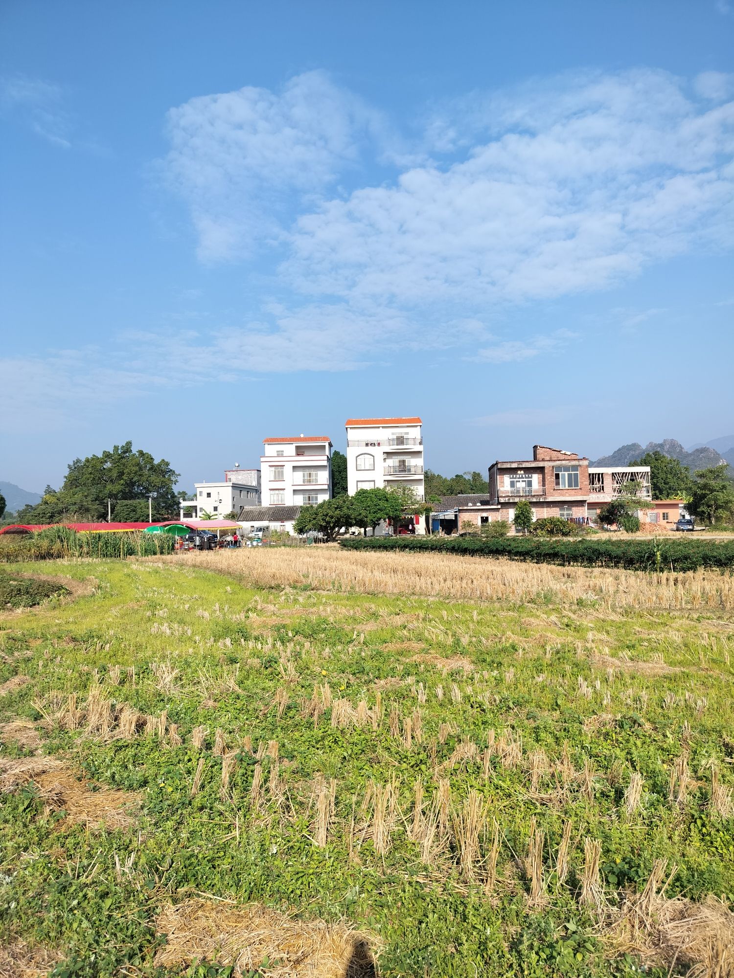 垌心村旅游景观点旅行图片 3