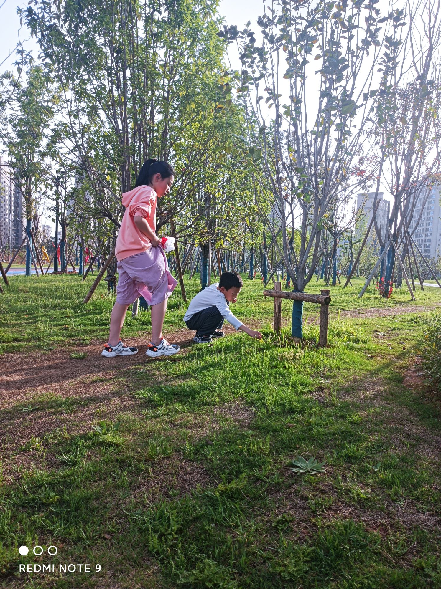 瑞阳新区(东区)体育公园旅行图片 3