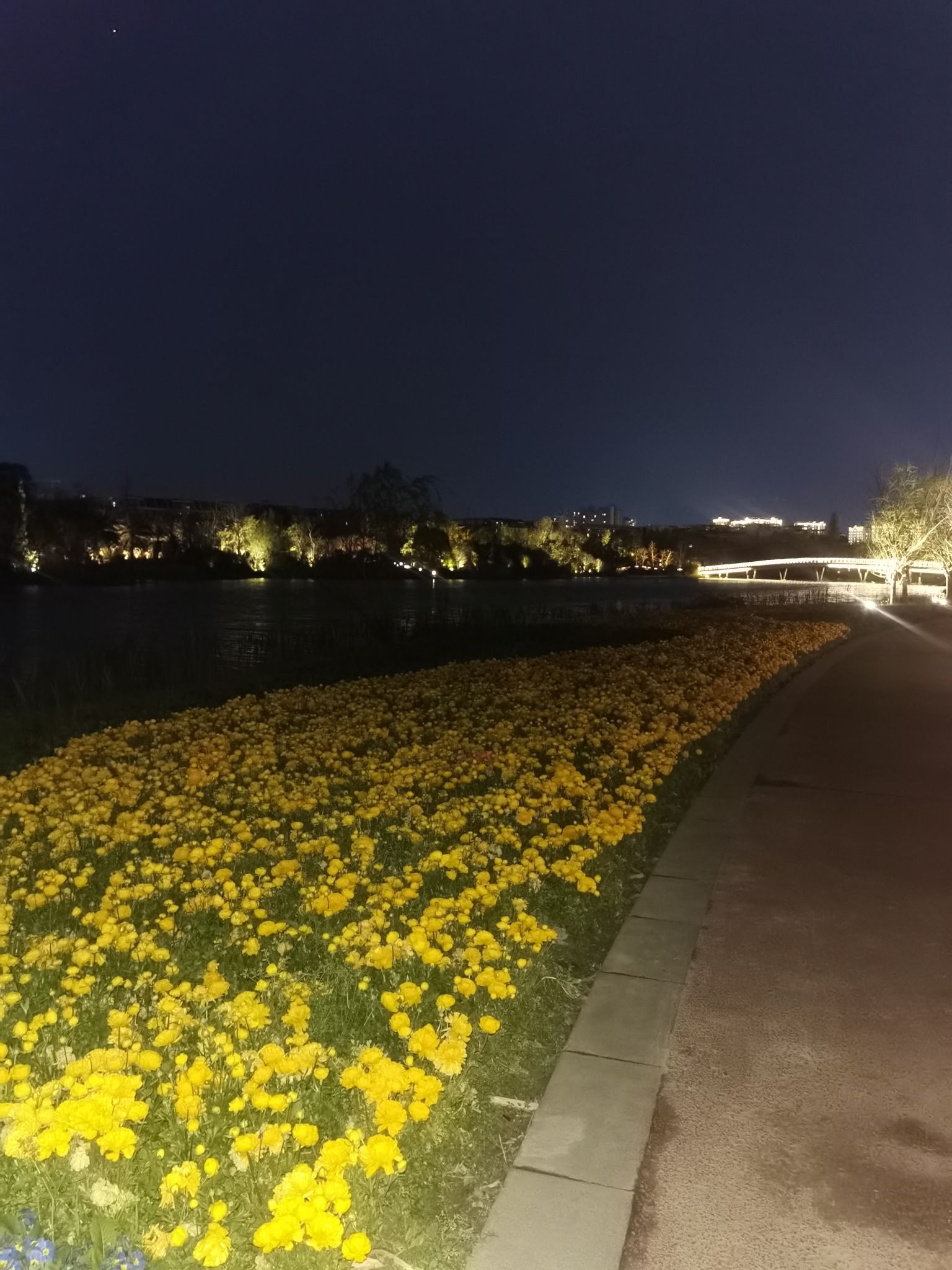 圣平岛花花世界旅行图片 3