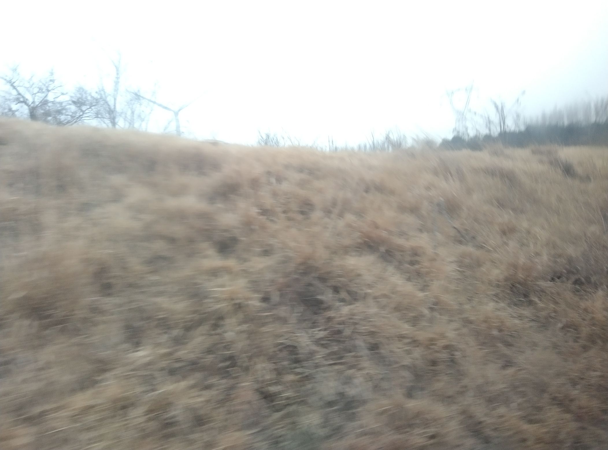 齐长城穆陵关遗址旅行图片 3