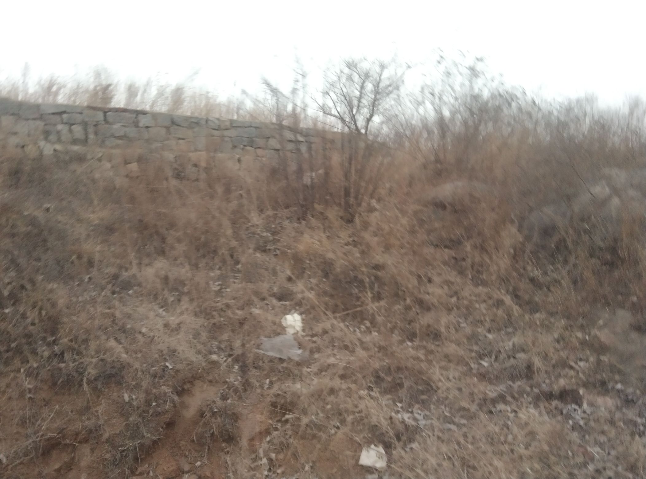 齐长城穆陵关遗址旅行图片 1