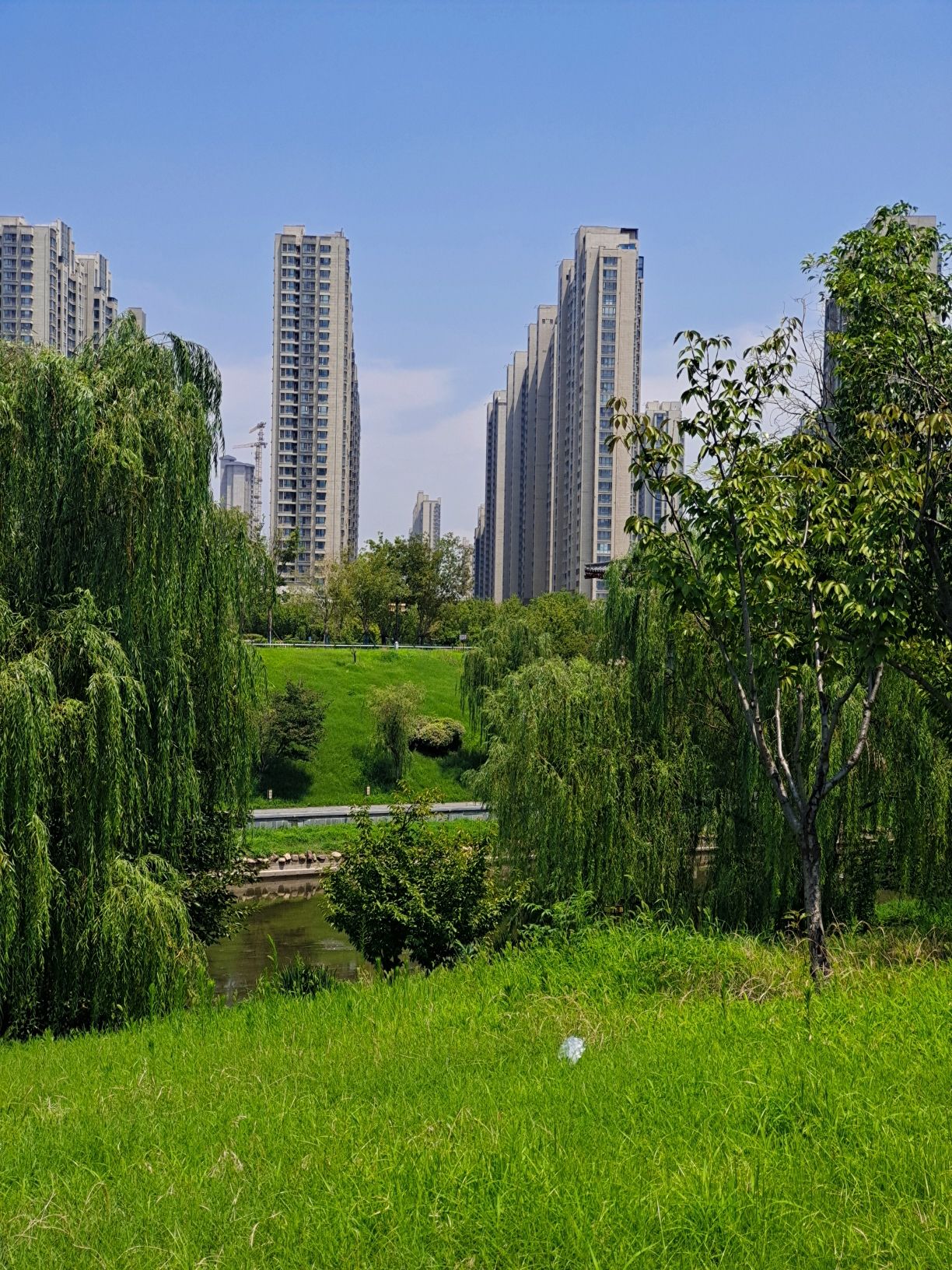 隋唐大运河国家文化公园旅行图片 3