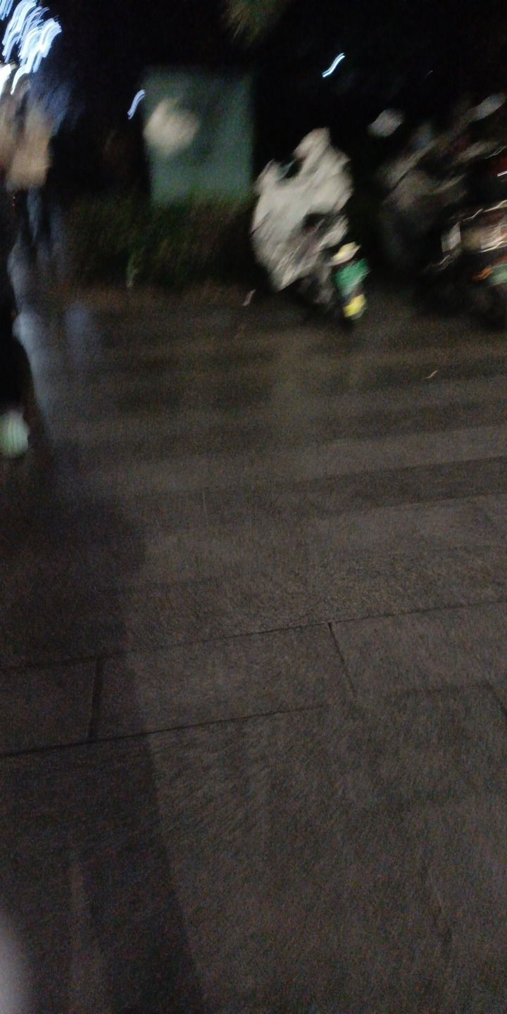 人民广场湿地公园旅行图片 1