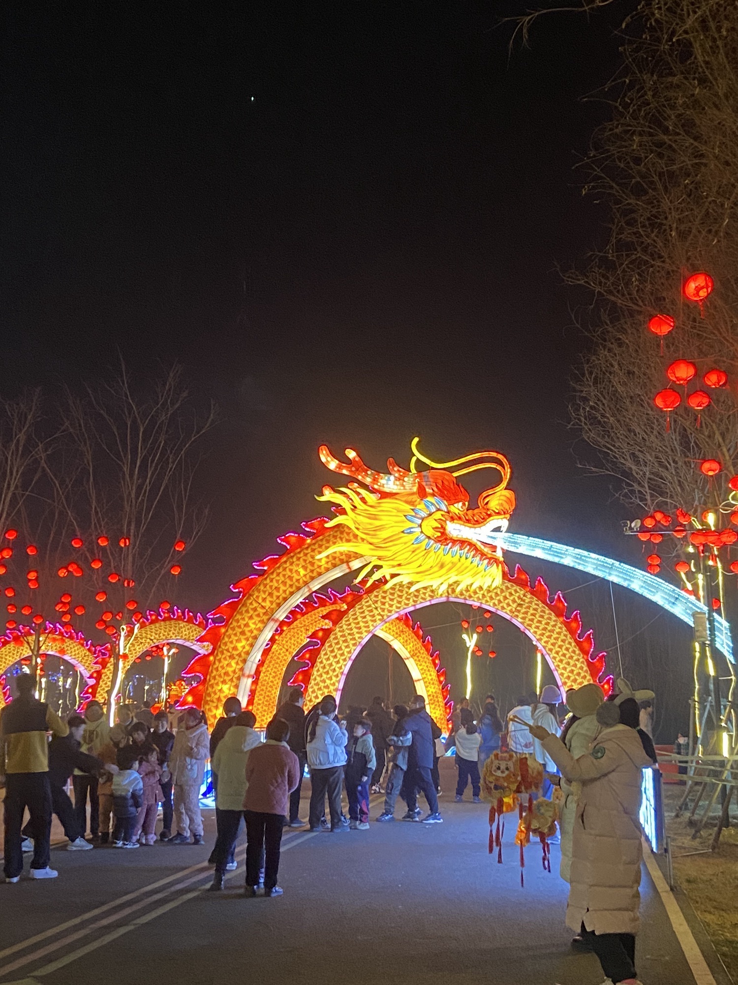 伏羲文化公园旅行图片 1