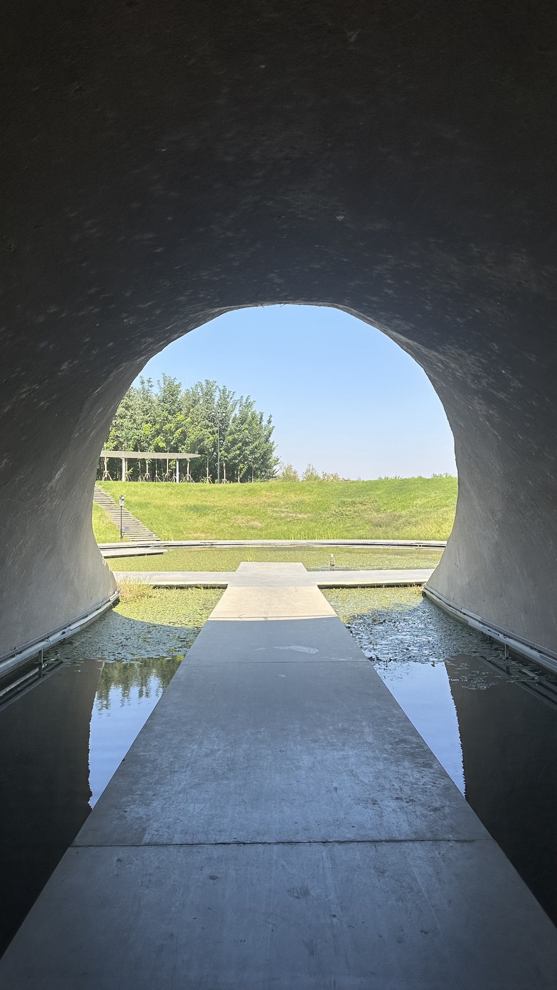 伏羲文化公园旅行图片 2